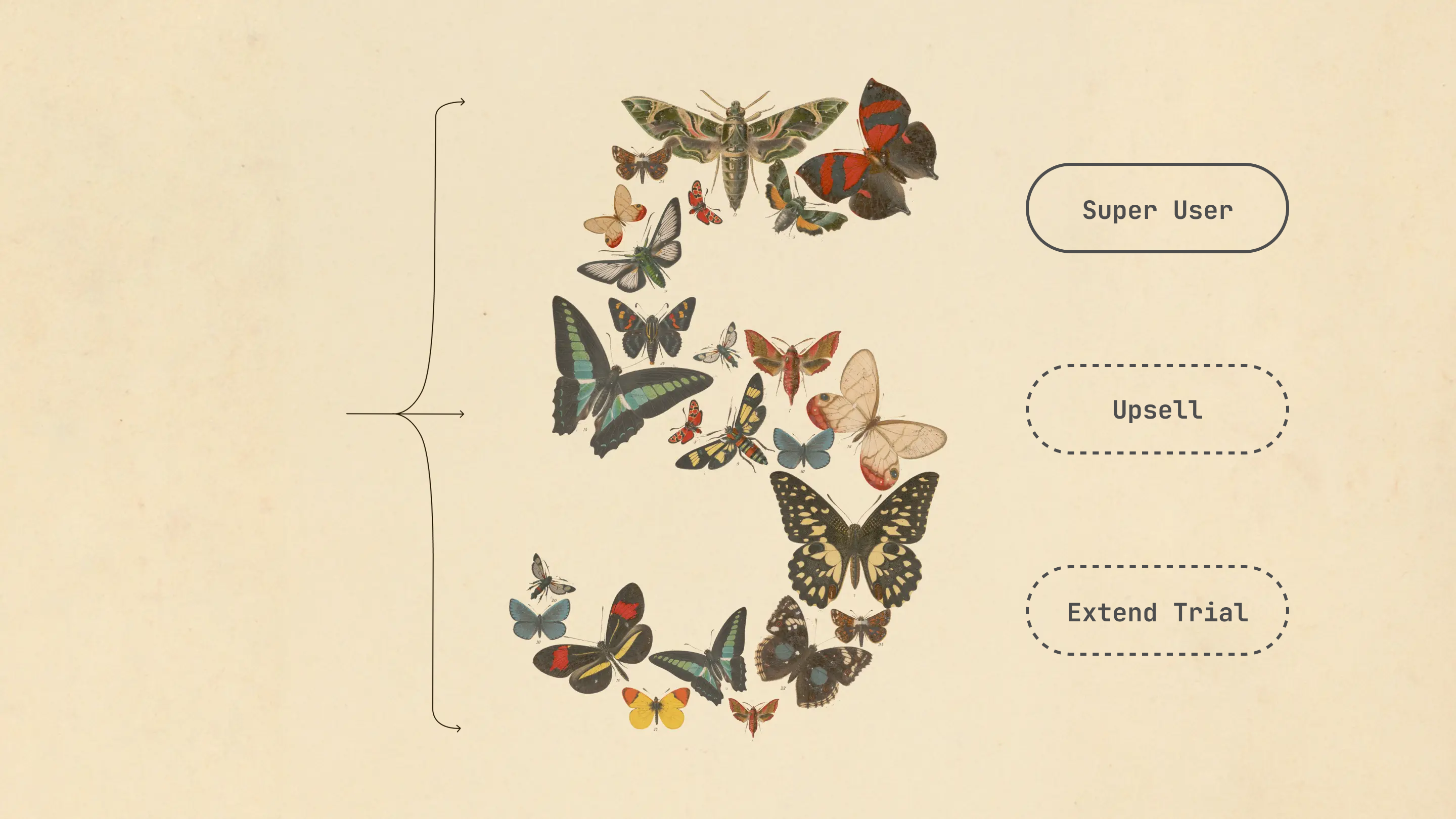 Lifecycle marketing from Fable 5