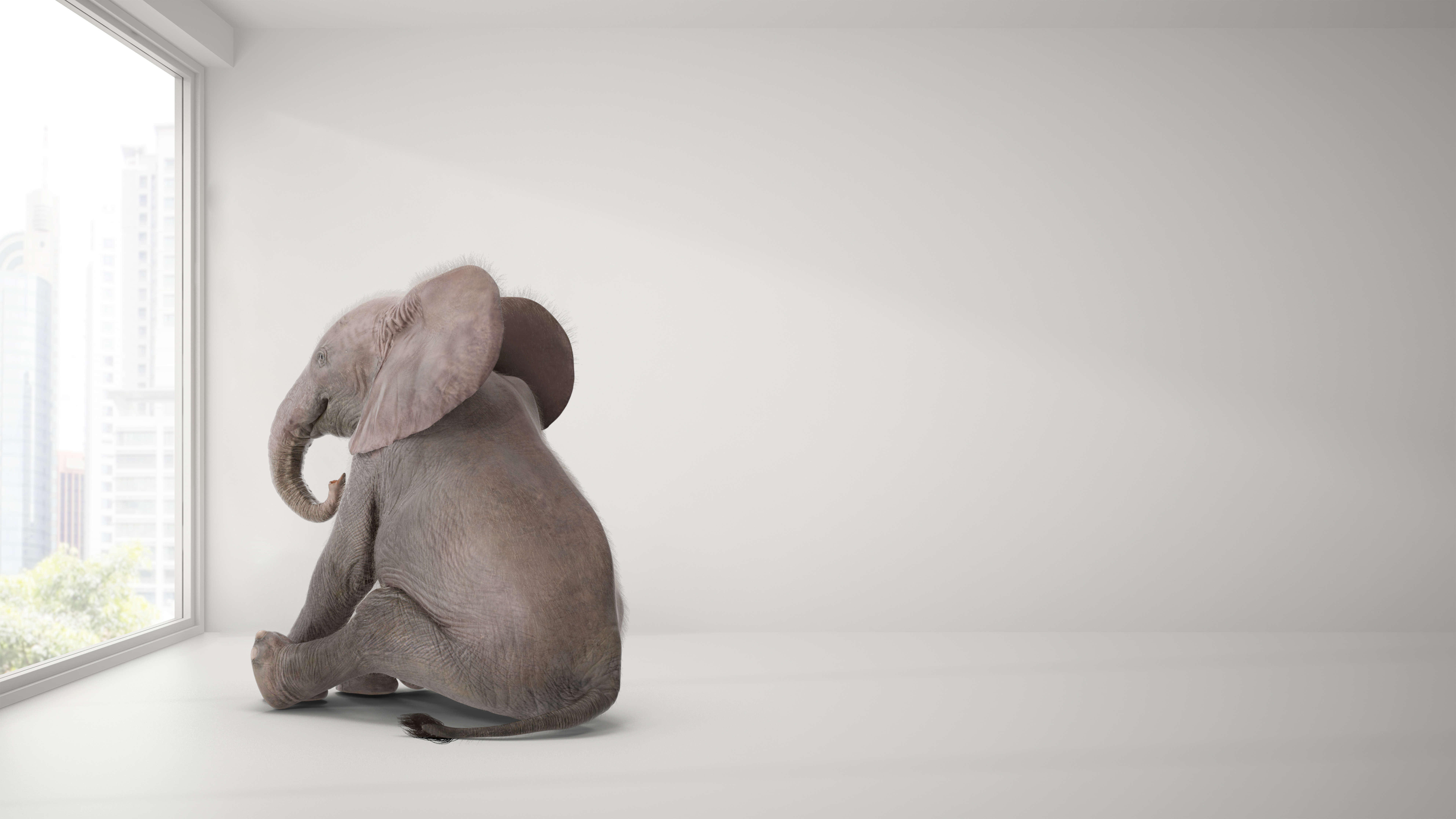 The ‘Elephant and the Tree/Twig’ parable can be likened to employees navigating digital friction in the workplace.