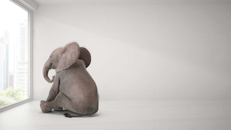 The ‘Elephant and the Tree/Twig’ parable can be likened to employees navigating digital friction in the workplace.