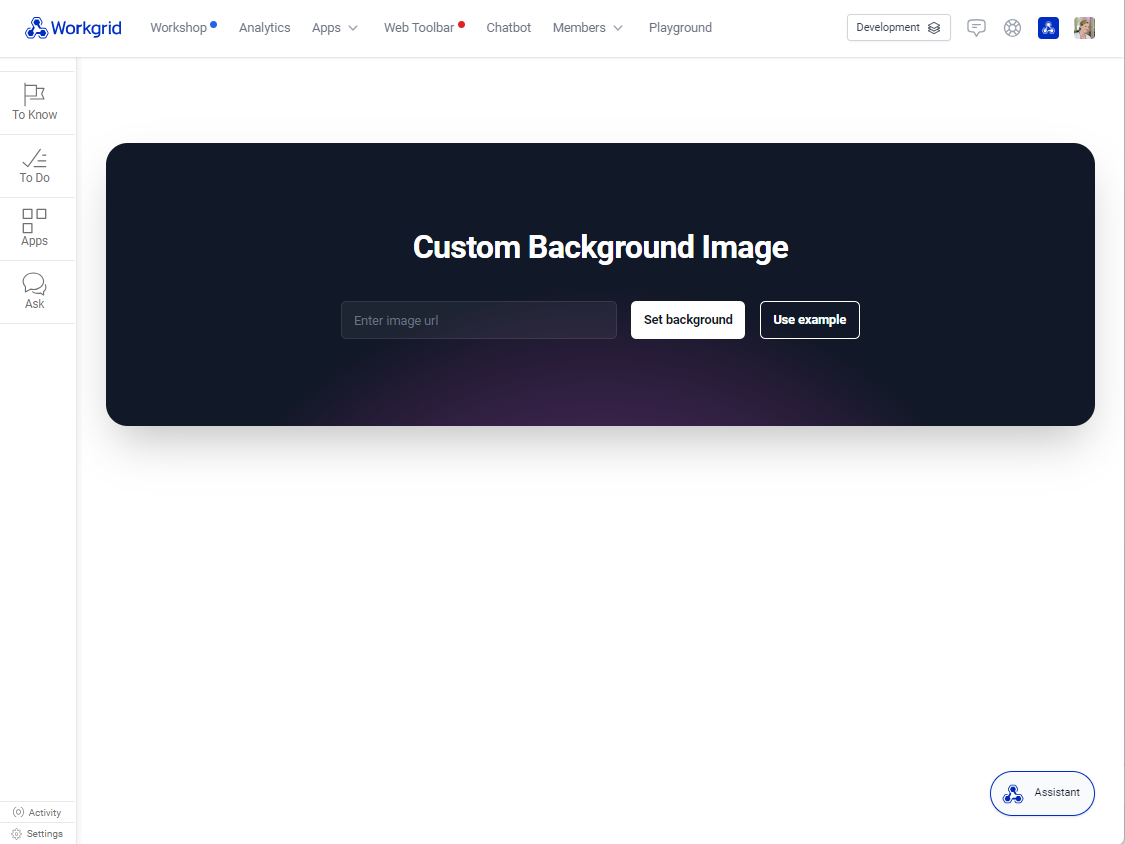 [asset] workgrid-console-playground