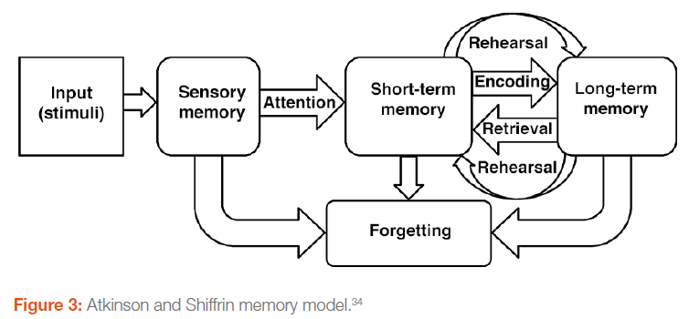 When faced with too much information, the brain will automatically disregard what it deems unnecessary to focus only on the information it considers important.