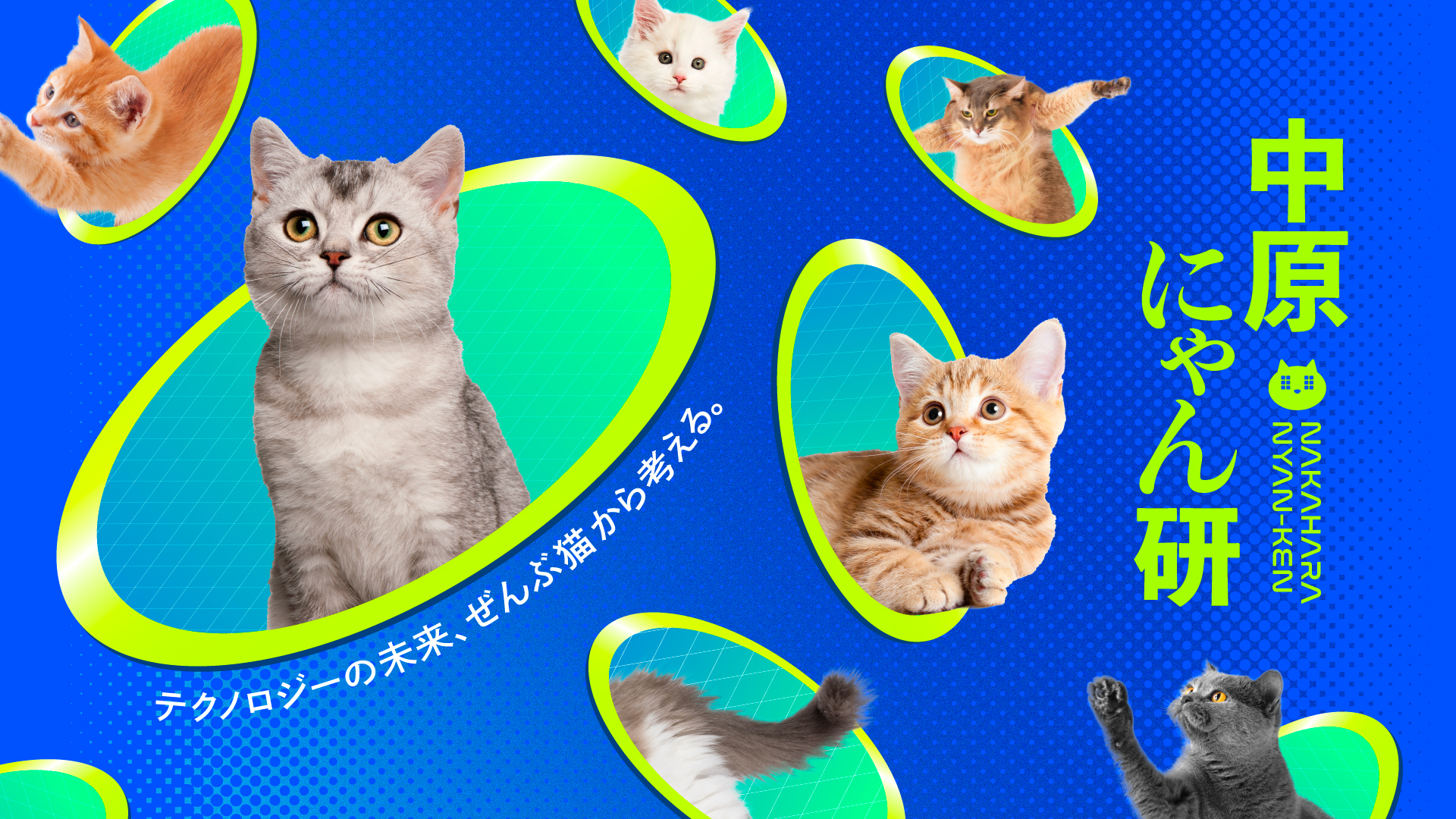 中原にゃん研 | Konel Inc.