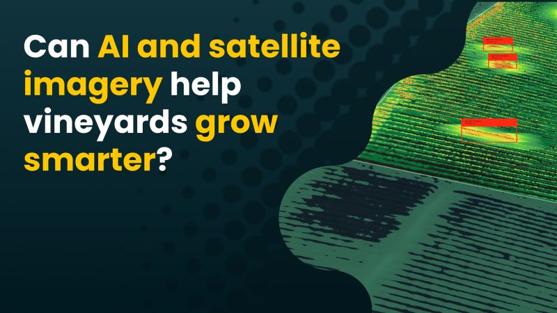 Can AI and satellite imagery help vineyards grow smarter?