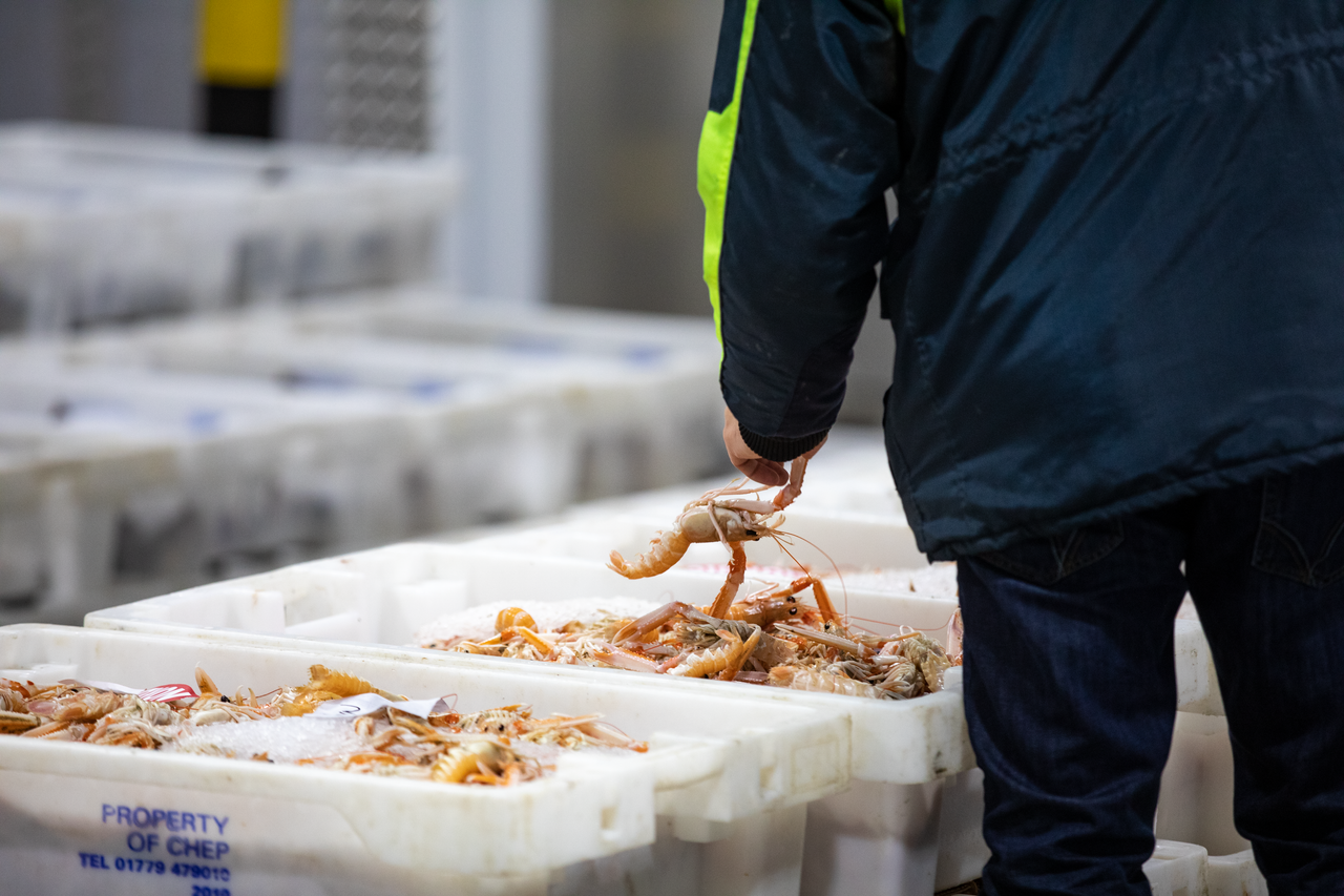 Un superviseur vérifie des caisses de fruits de mer sur le site de chaîne du froid de Larkhall