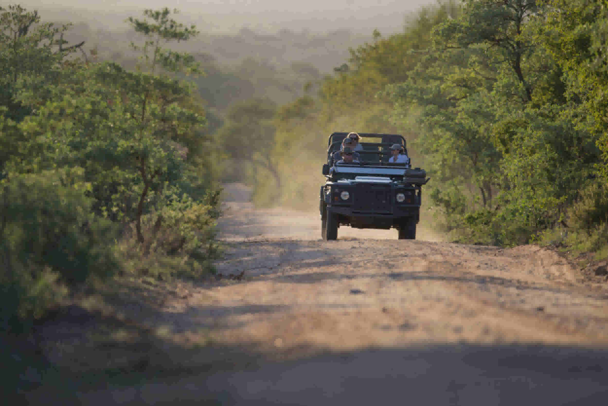 Game drive