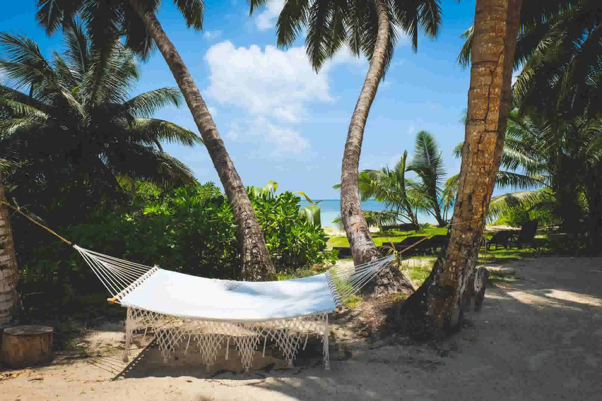 Seychelles lounger