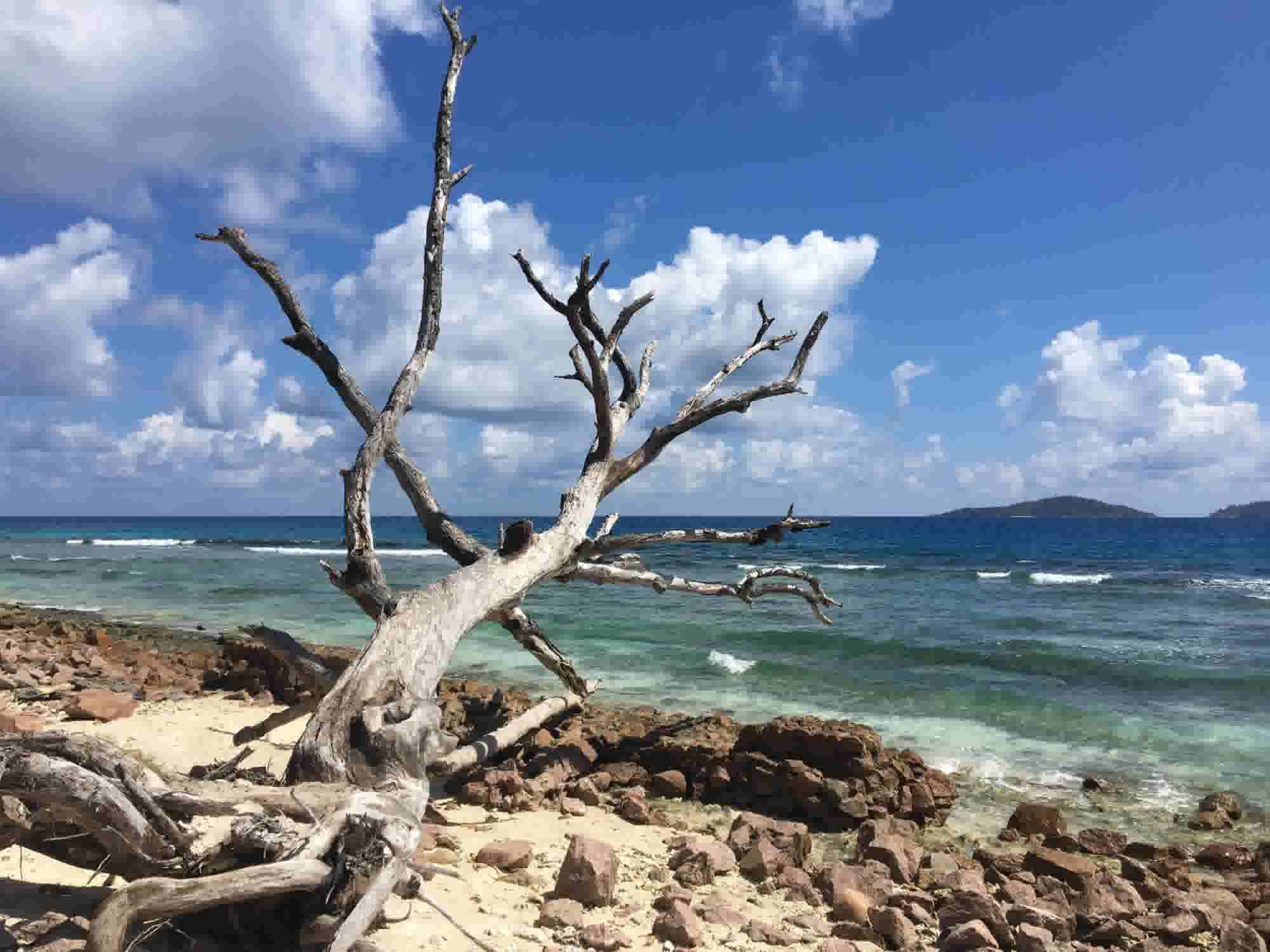 Seychelles La Digue