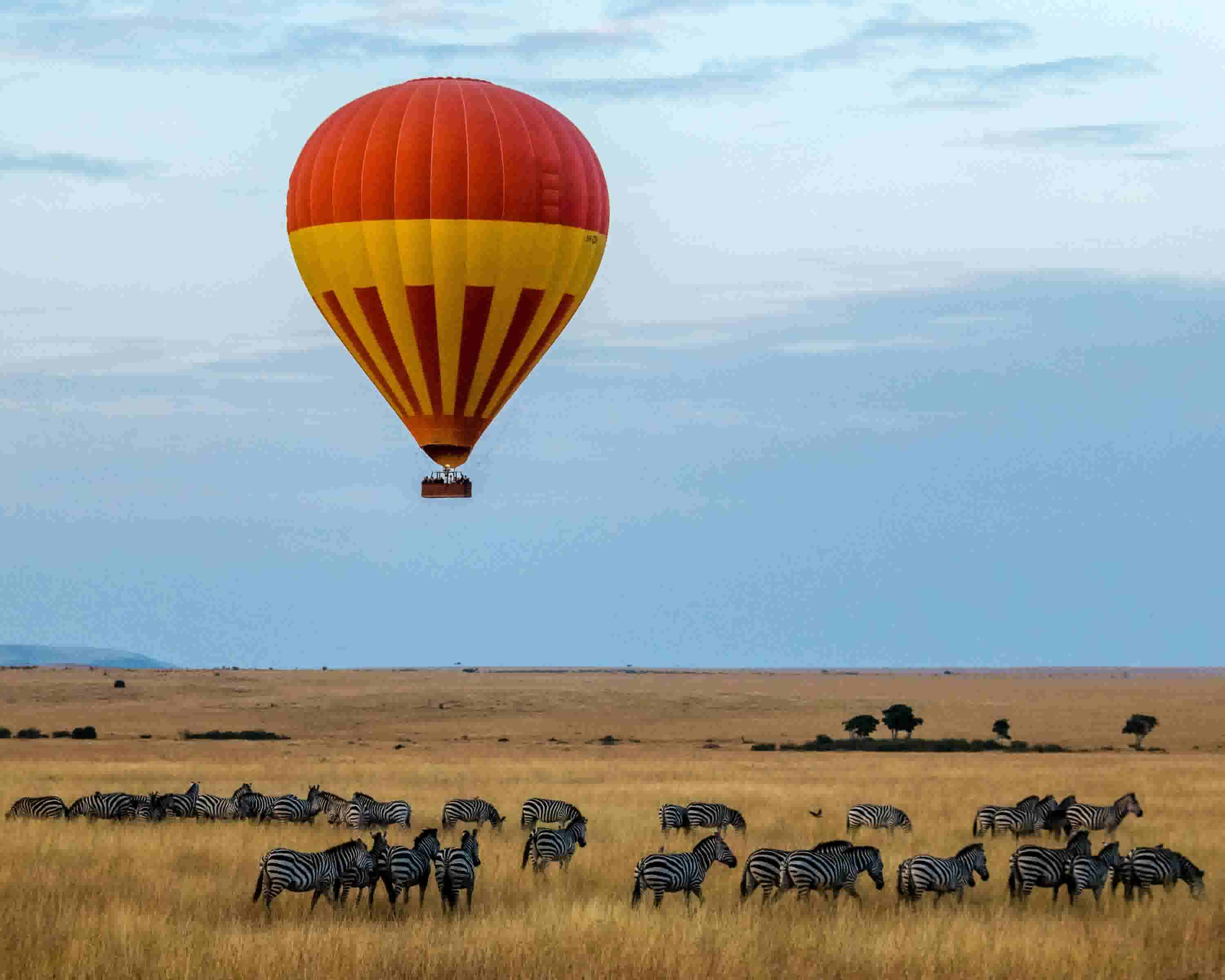 masai-mara