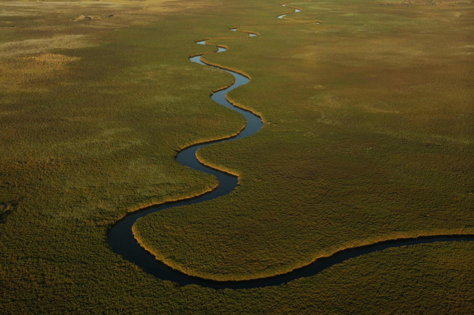 Okavanga Delta