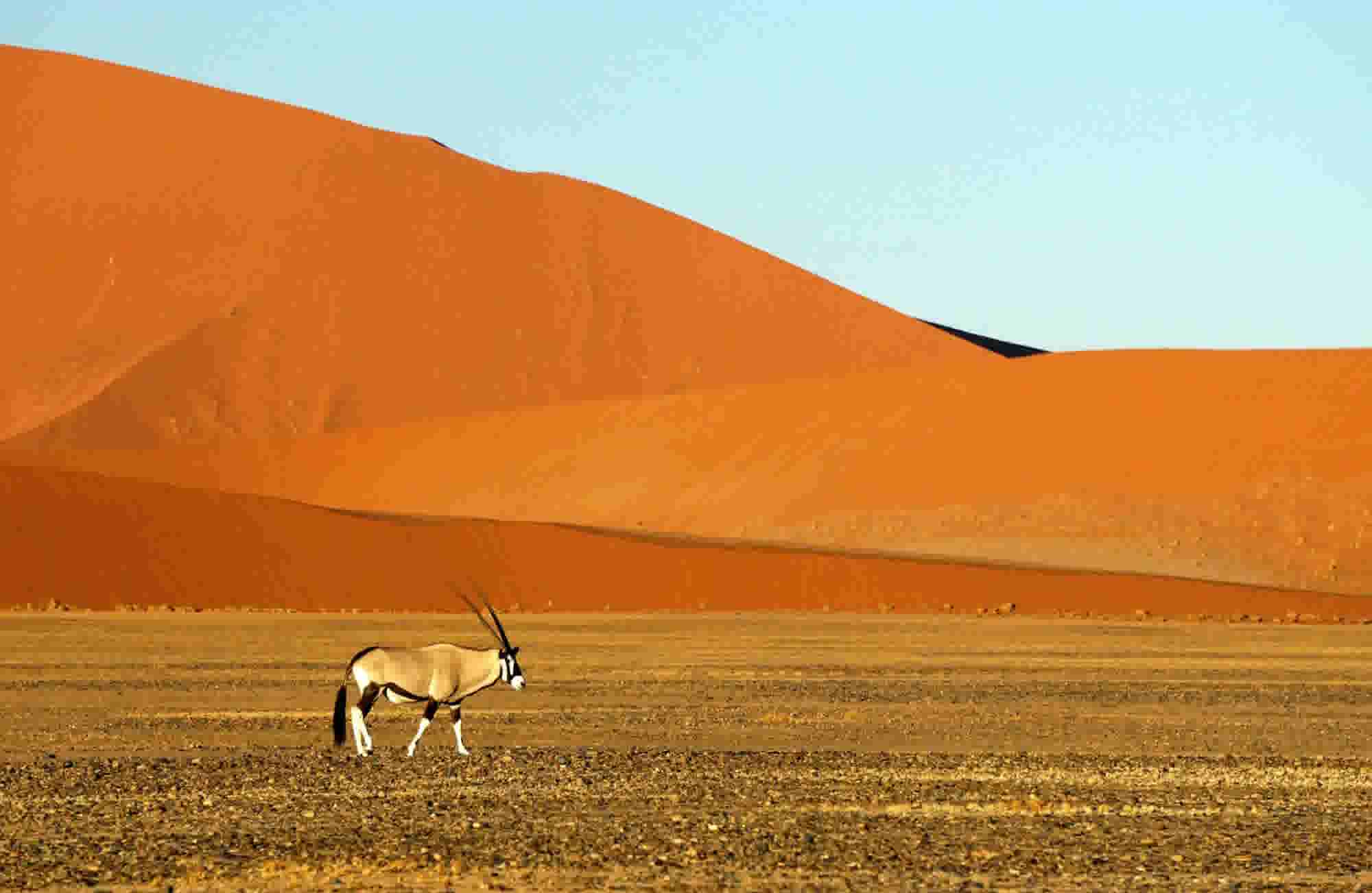 Namibia Desert