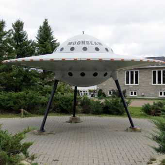 A flying saucer in a garden