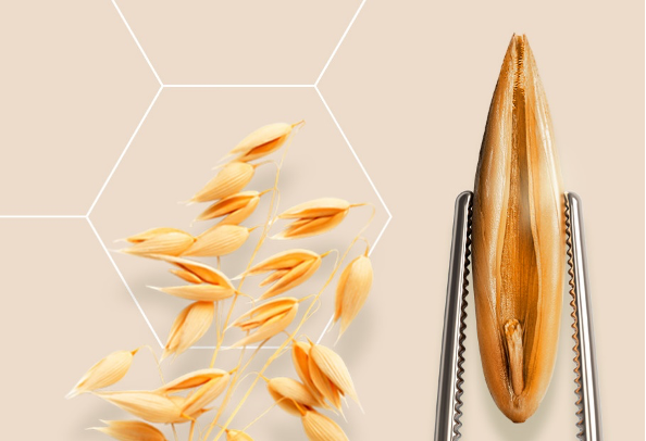 THE POWER OF OAT FOR SENSITIVE SKIN