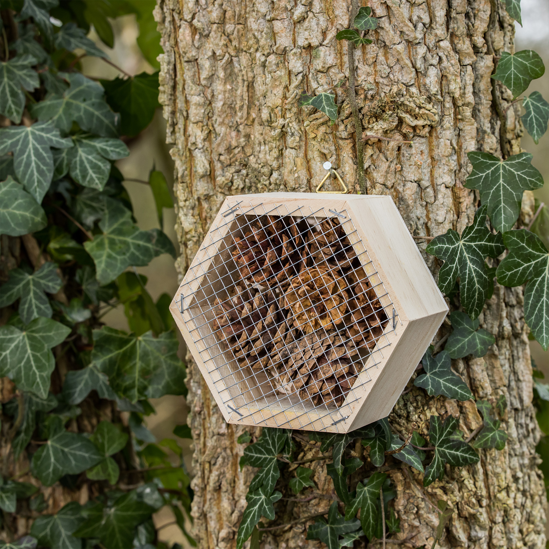 Insectenhotel sfeerbeeld 2