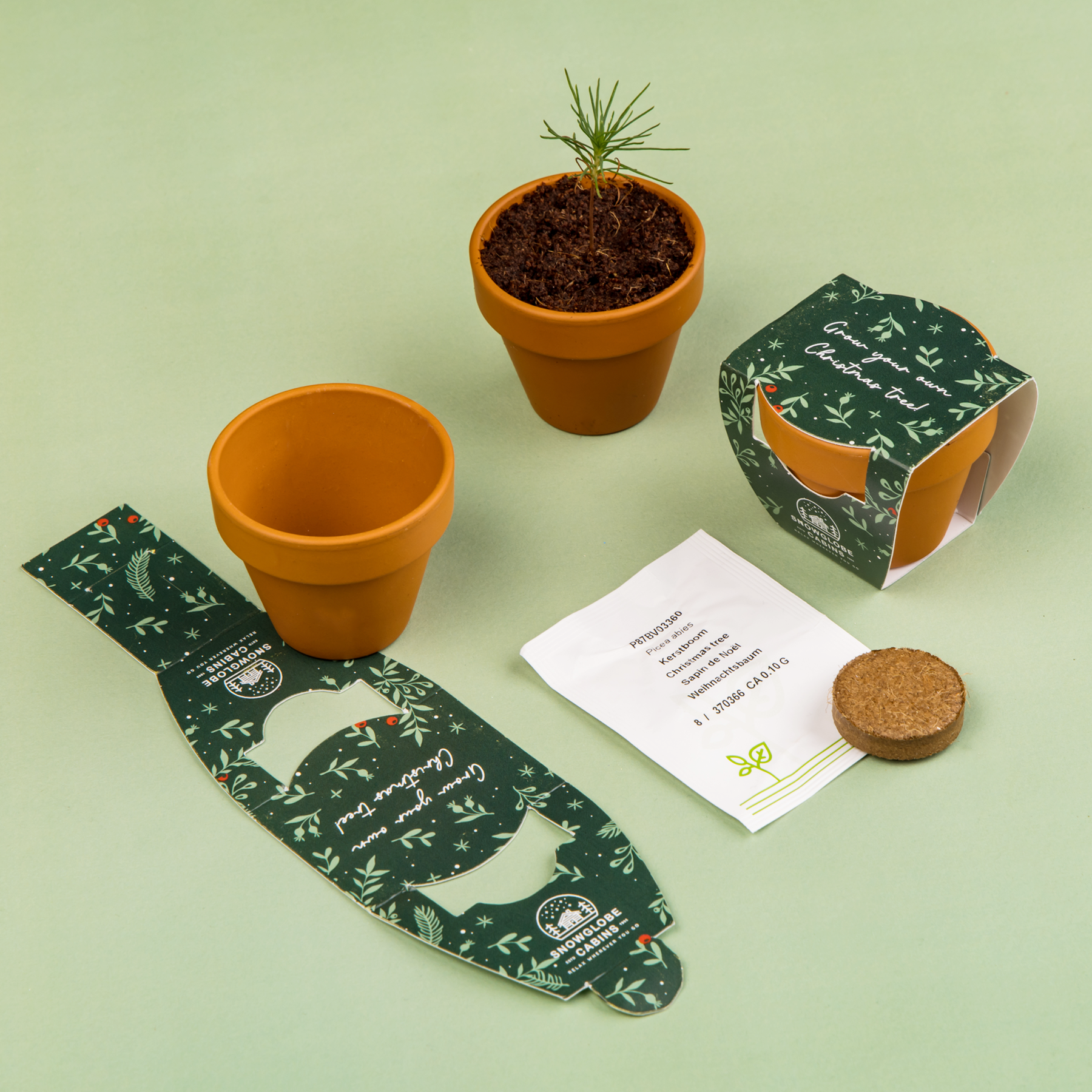 kweeksetjes kerstboom 2