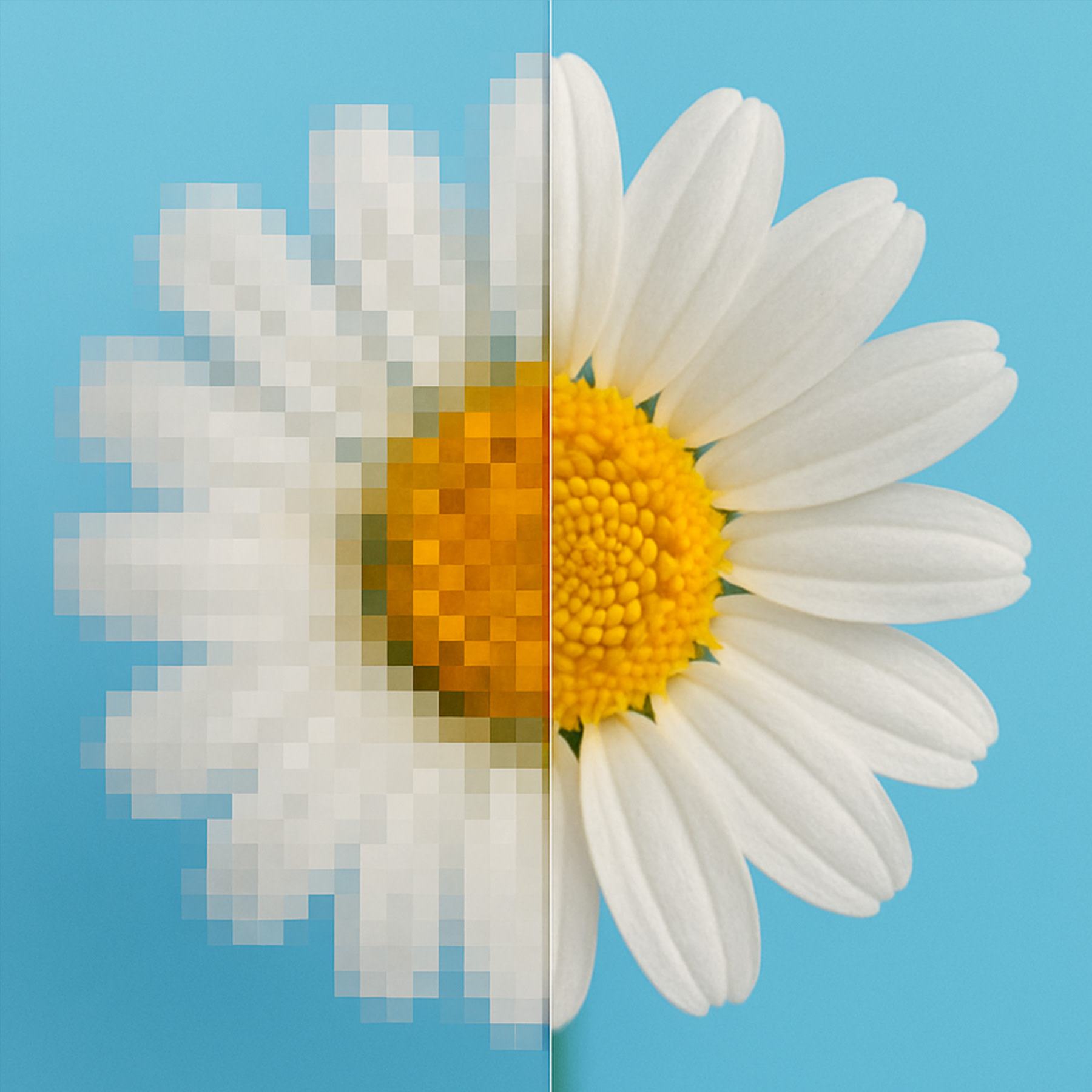 featured-image resolutie