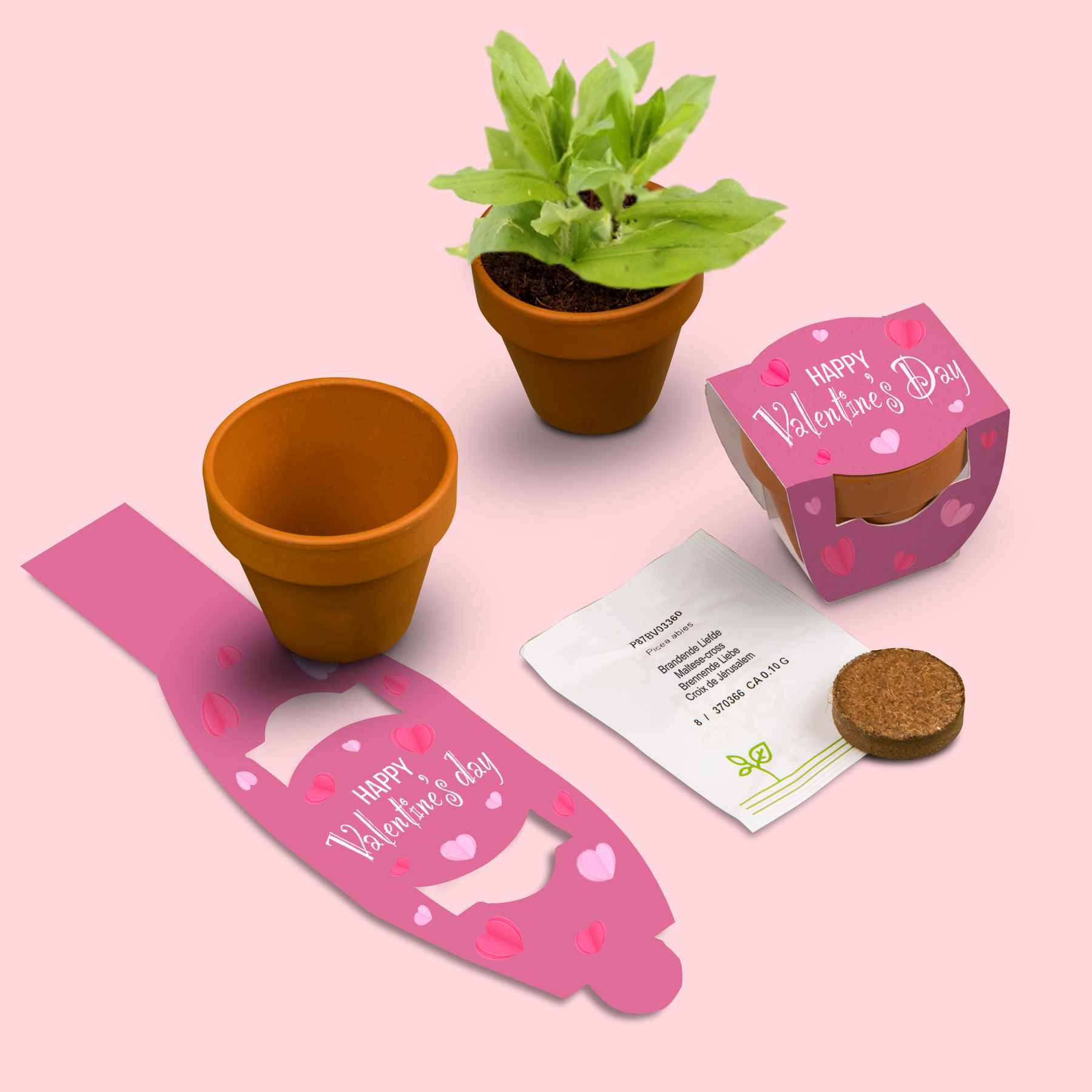 Valentine kweeksetjes