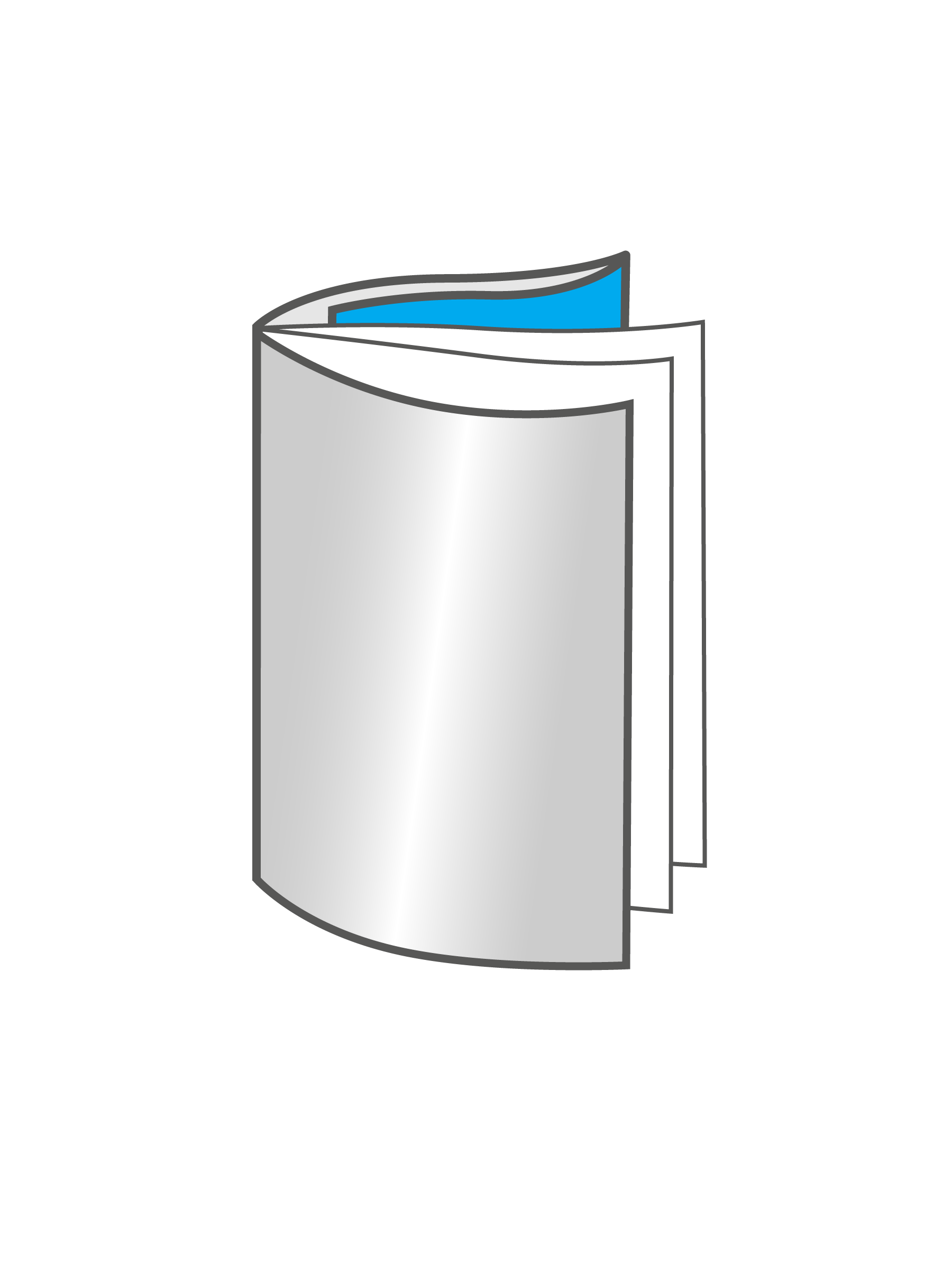 Avec rabat arrière 250 g/m² brillant