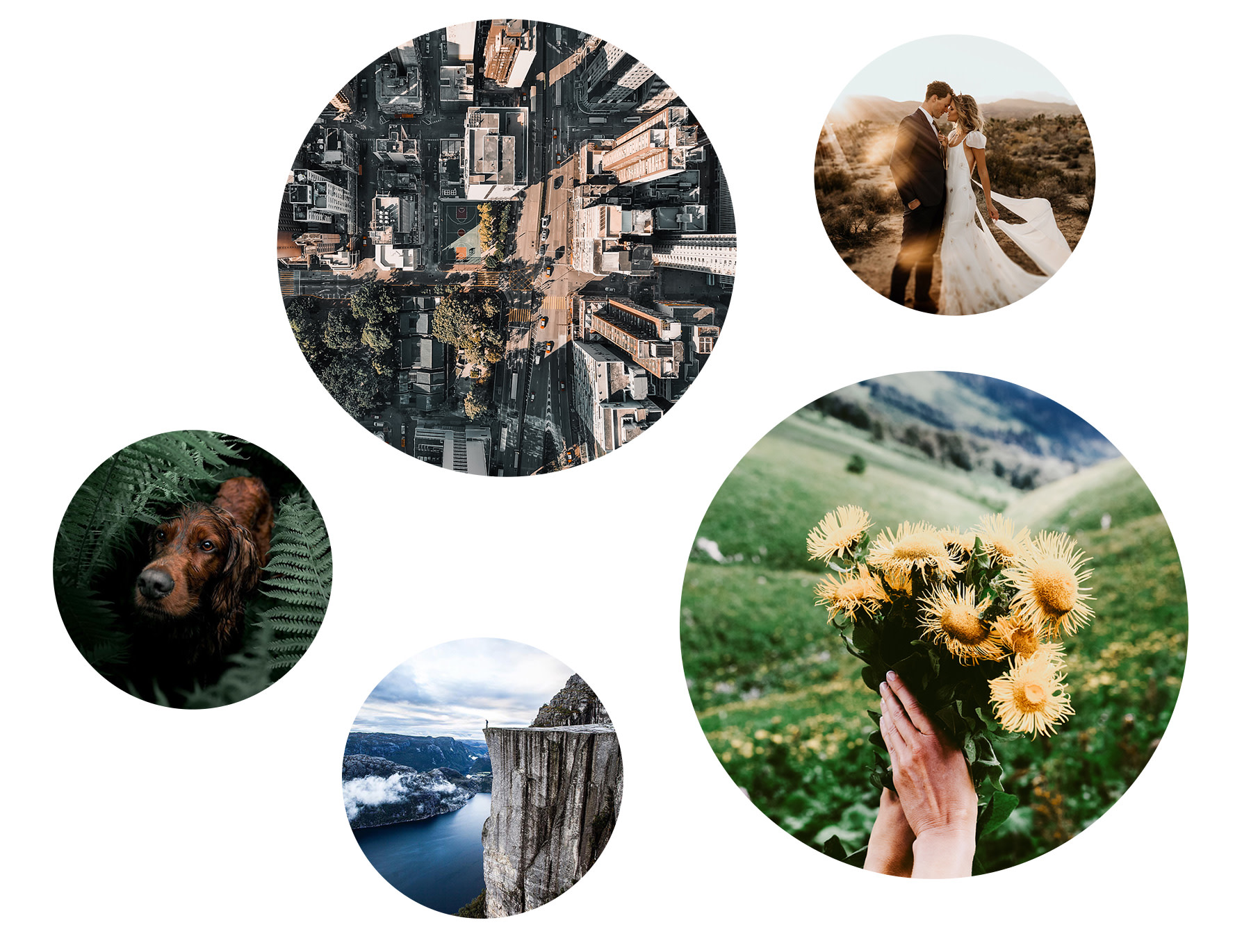 freebiefriyay-week-18 instagram-lightroom-presets