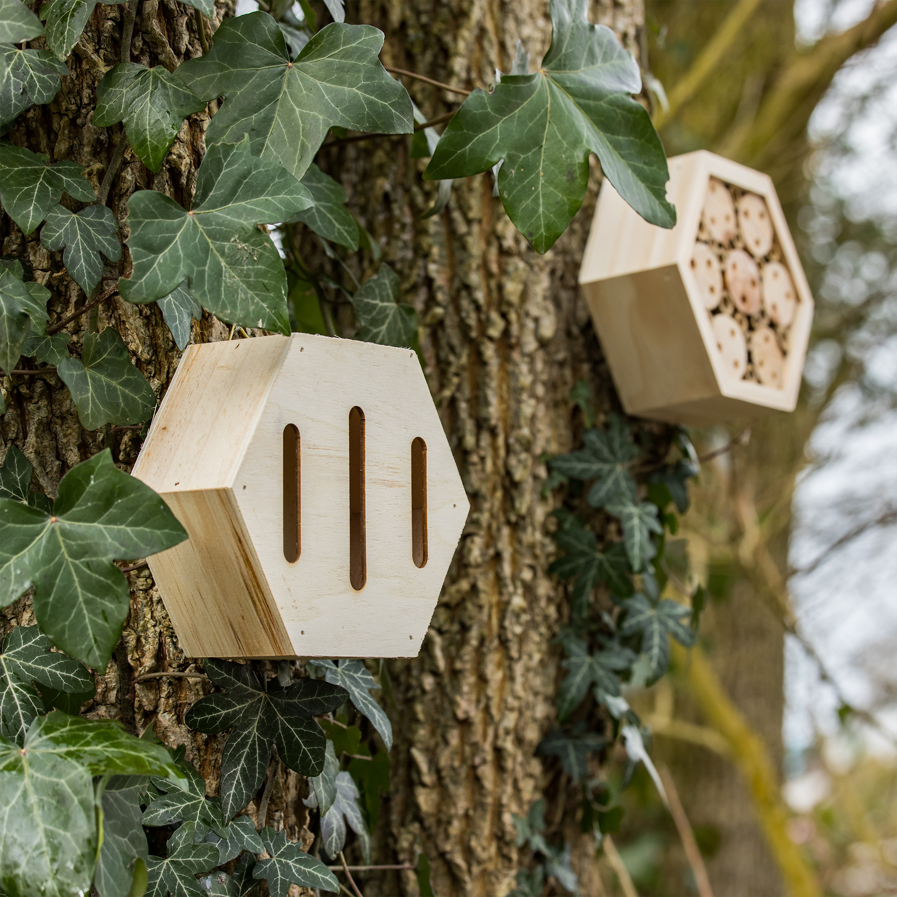 Insectenhotel sfeerbeeld 1