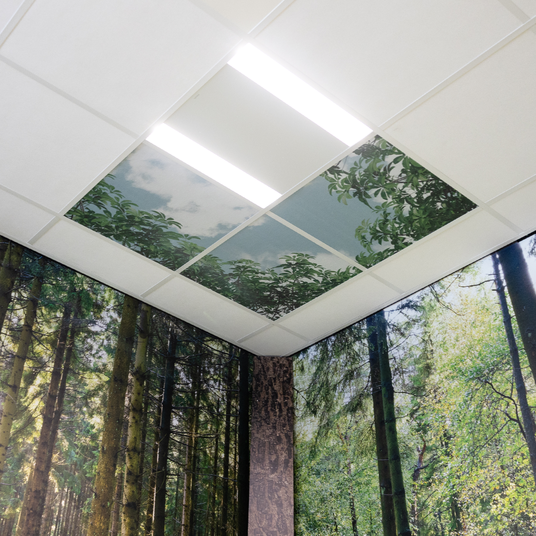 Vilt-forrest-panel-3