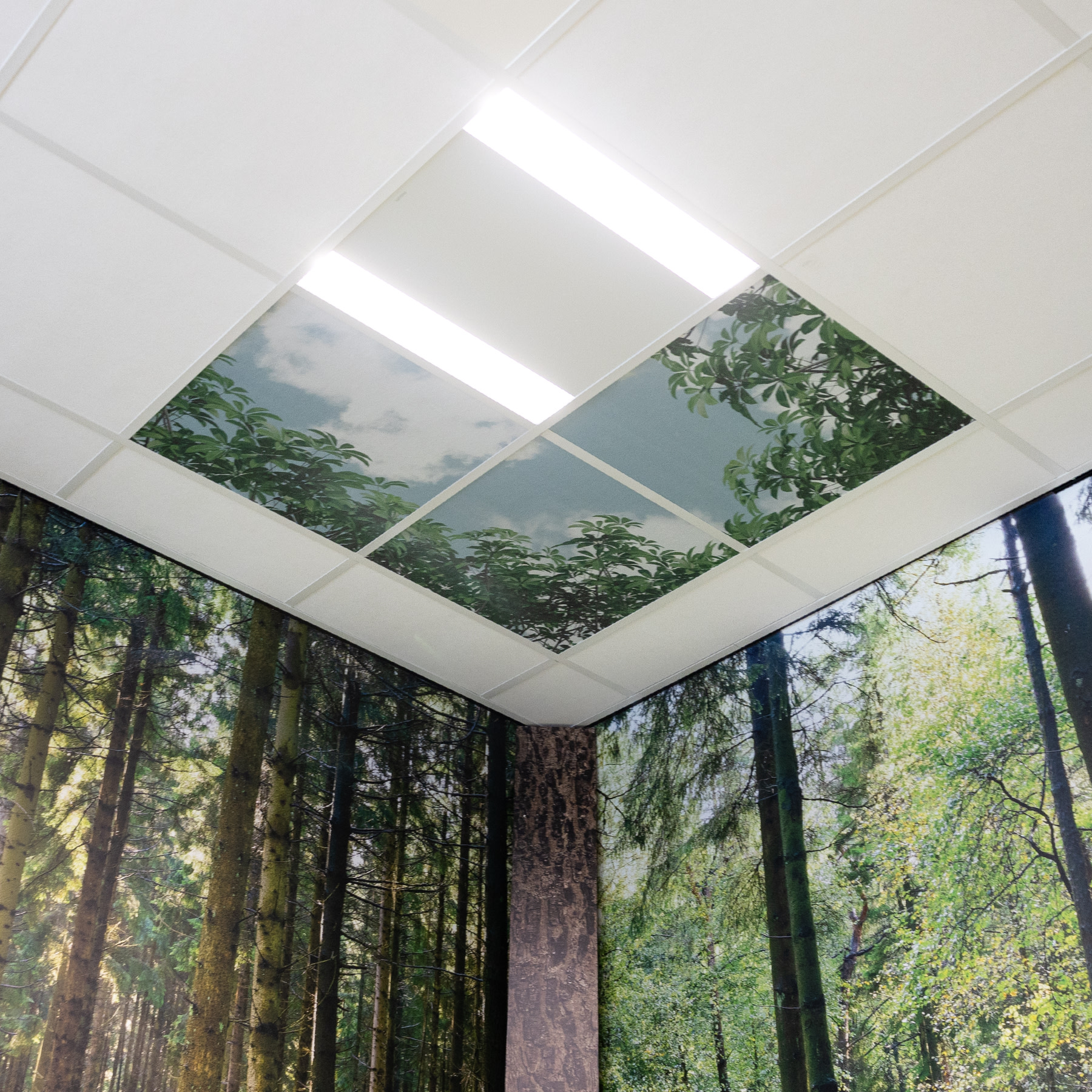 Vilt-forrest-panel-3