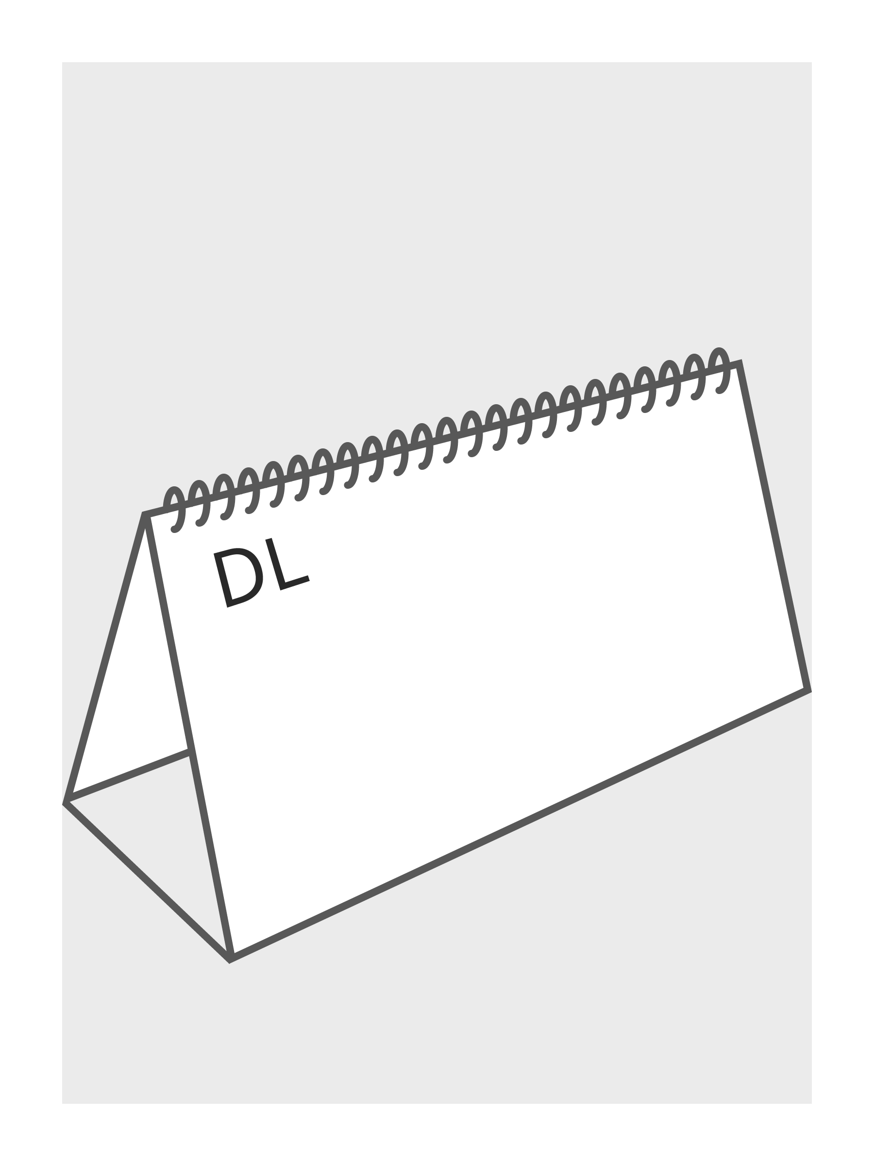 Din large (98 x 210 mm)