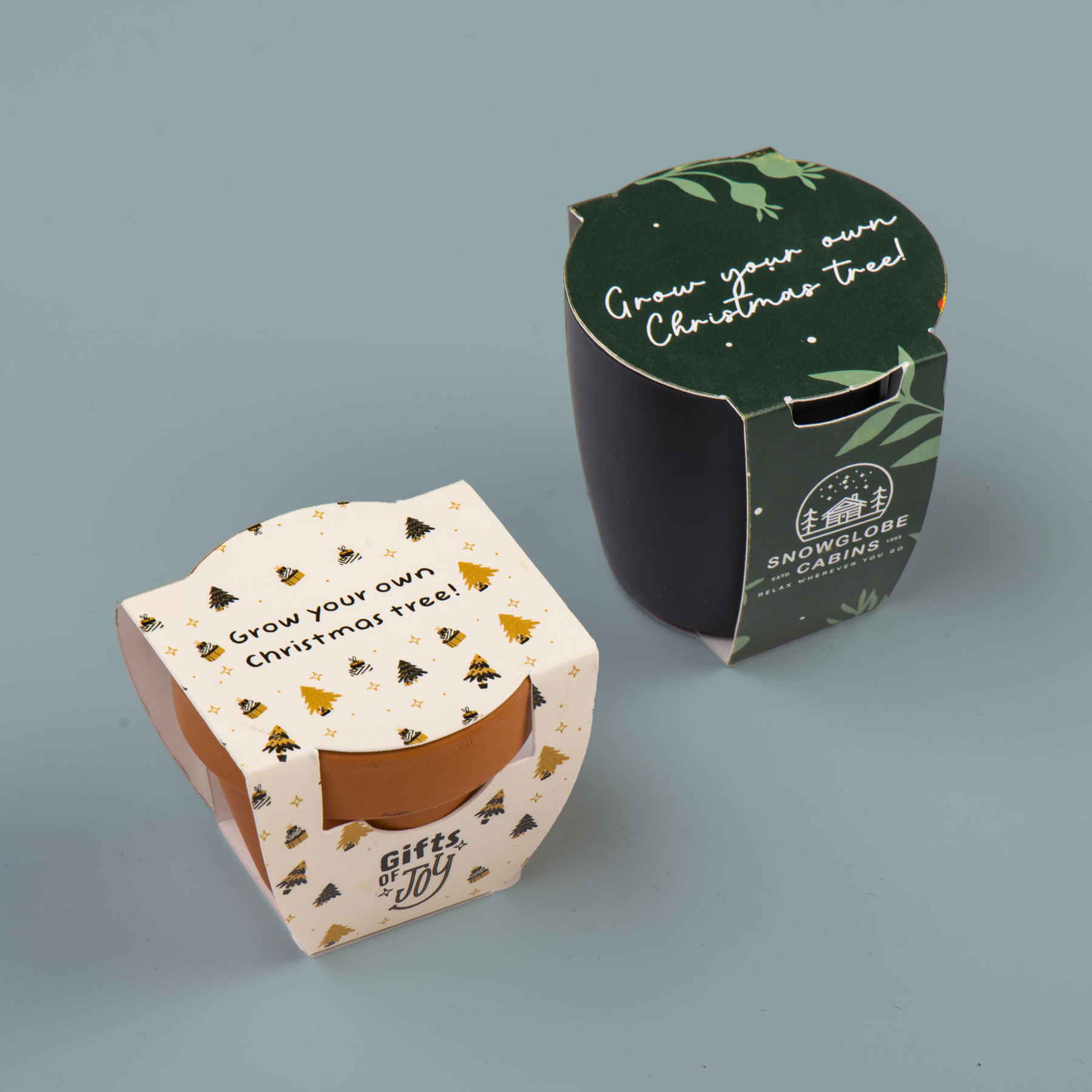 Header image kerstbook kweeksetjes