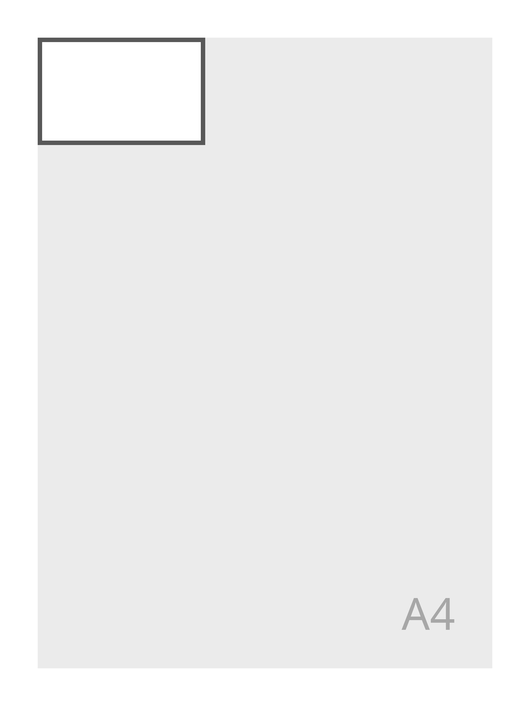 Rectangulaire (85 x 55 mm)