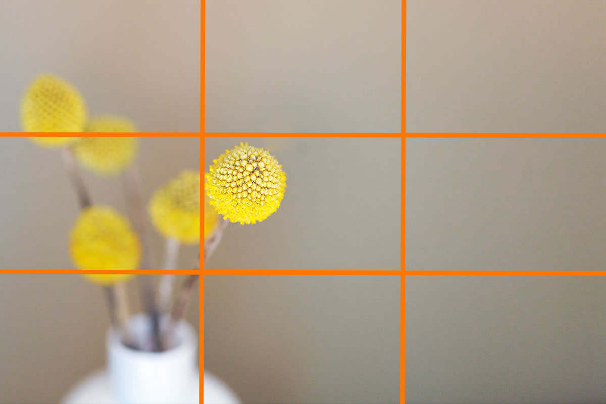 freebiefriyay-33 rule-of-thirds