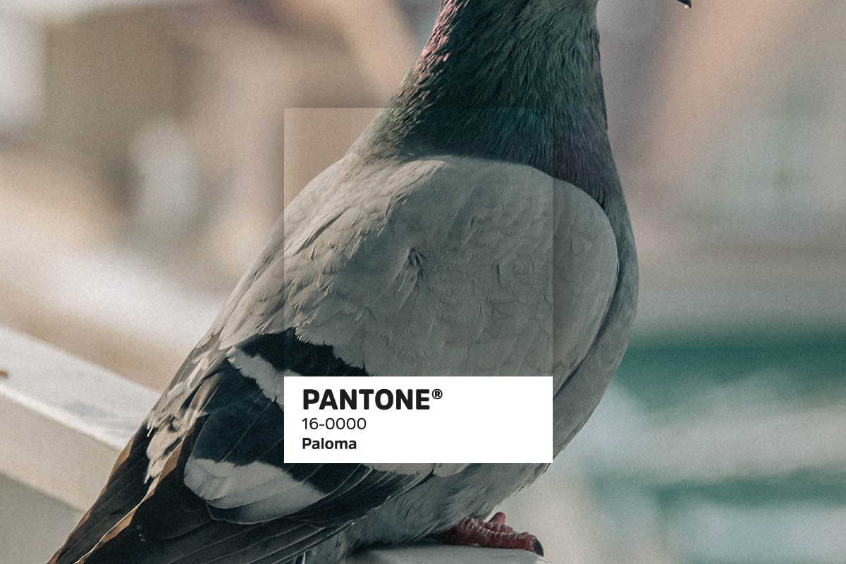 435 Pantonetrends blogbeelden15