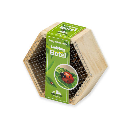 Insectenhotels featured