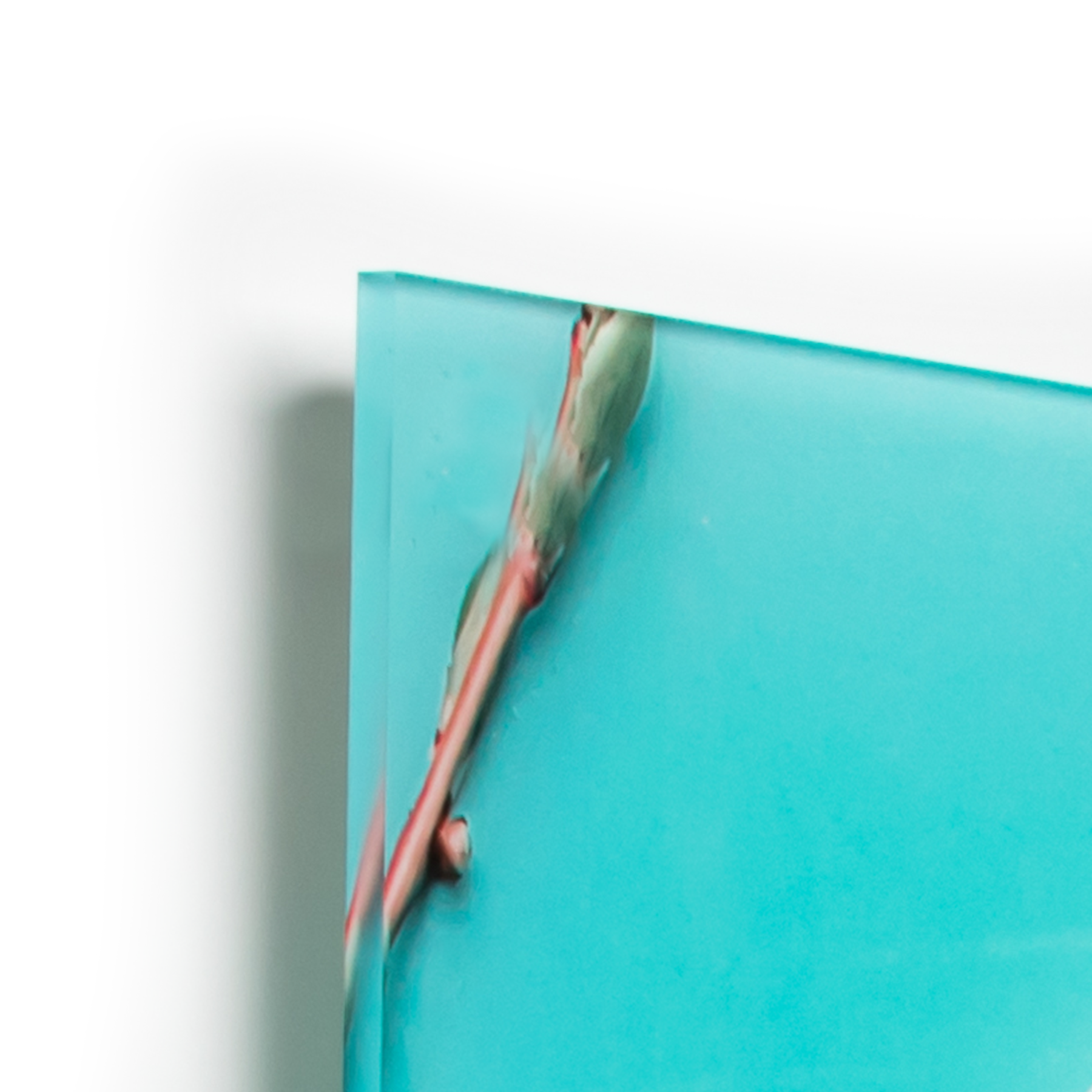 Sans système de suspension