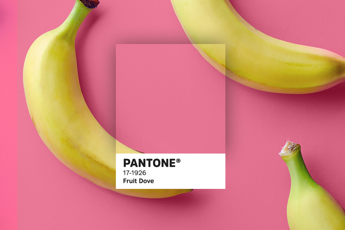 435 Pantonetrends blogbeelden6