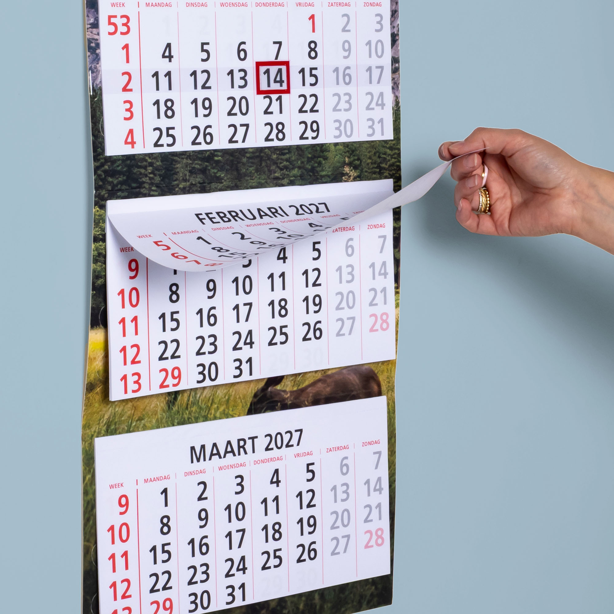 4maands-kalender-detail3I