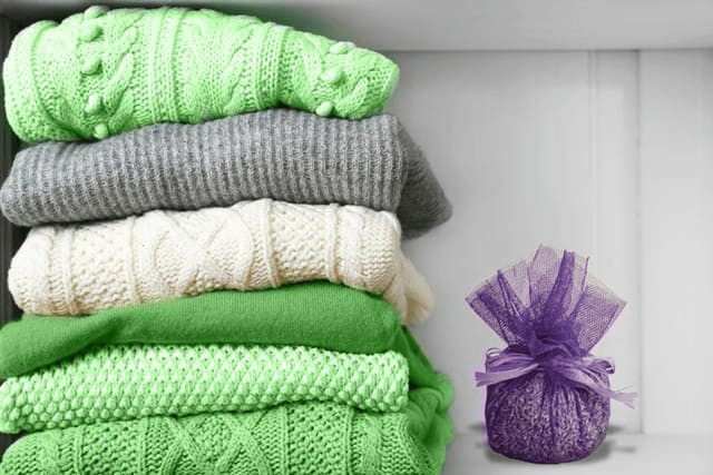 How to Wash Wool  Washing Different Fabrics - Ariel