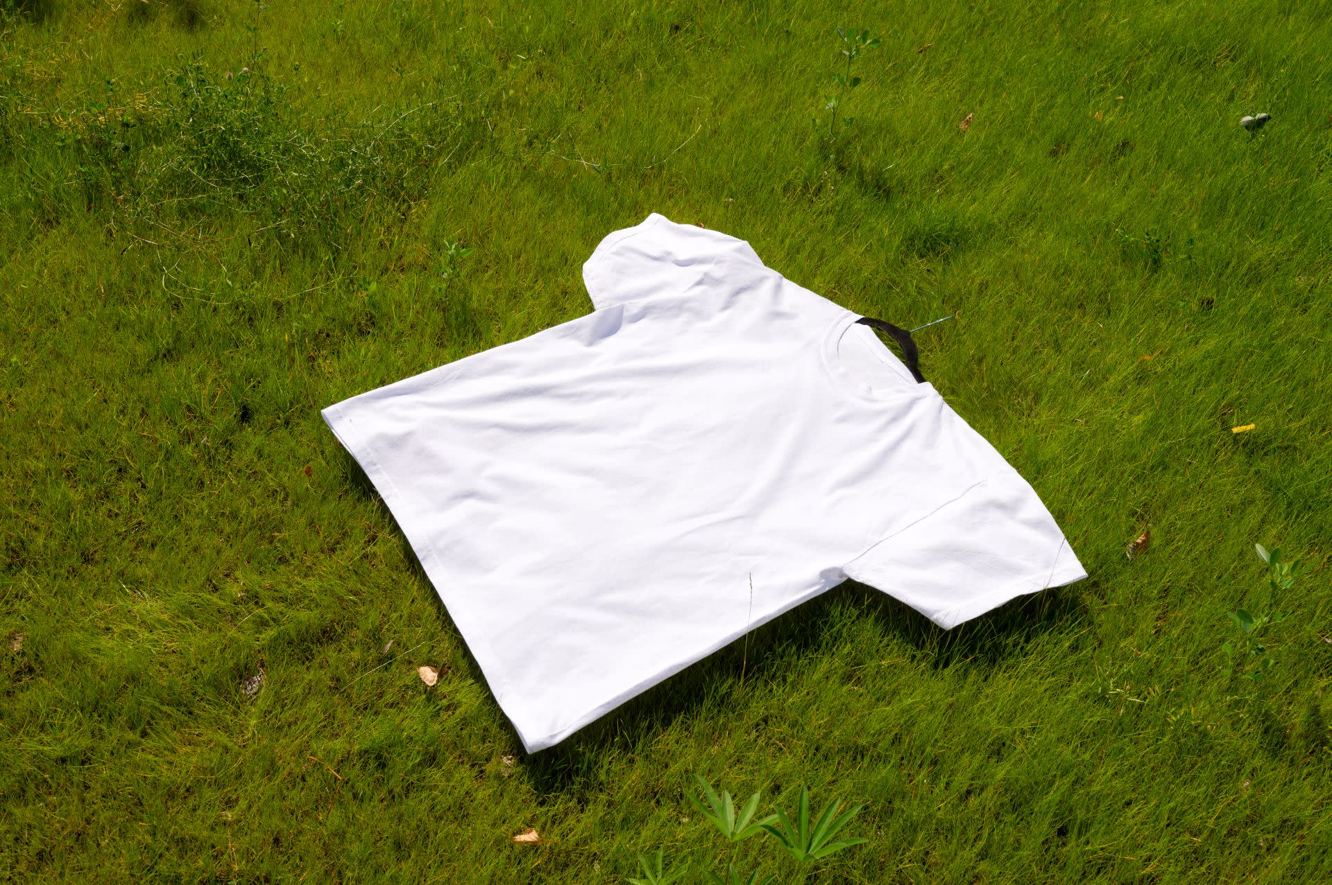 How to Remove Grass Stains from Clothes