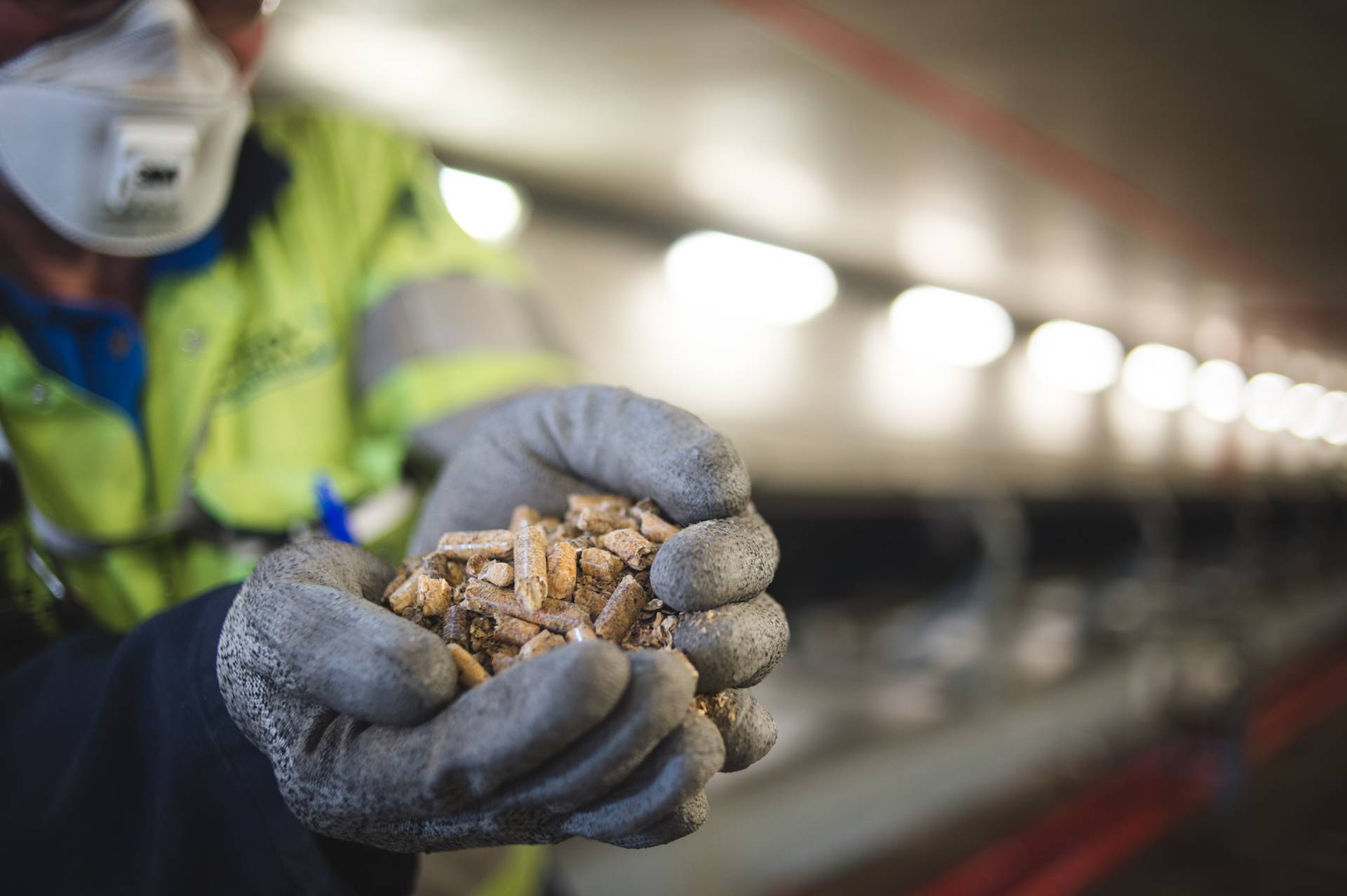 How biomass is helping us along the way to a zero-carbon future - Hero Image