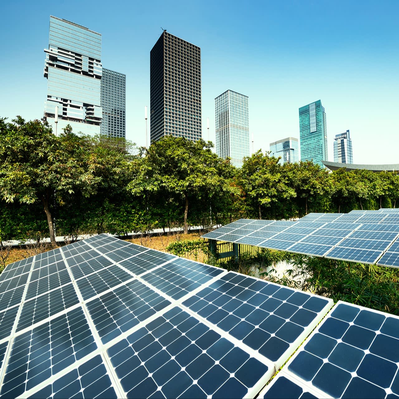 Sustainability