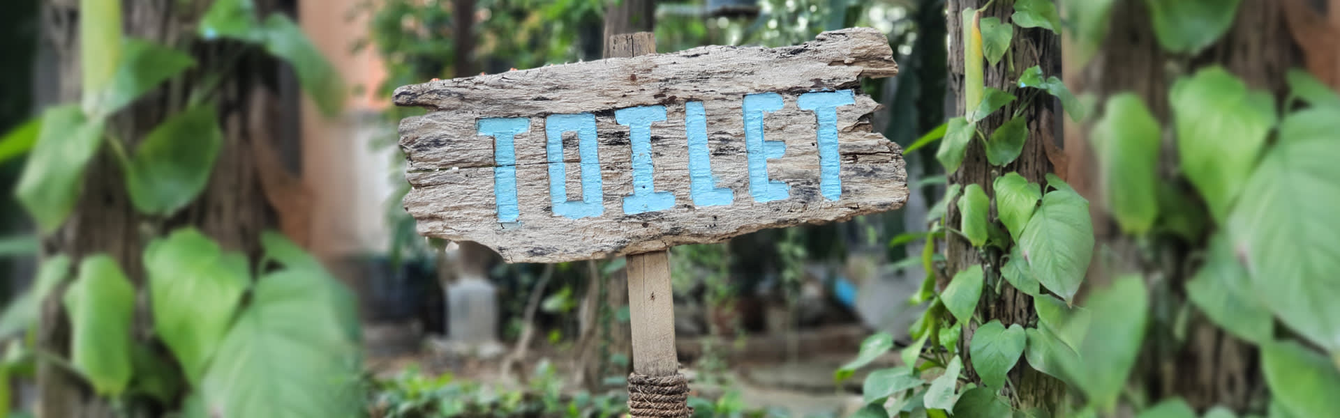 toilet-slim