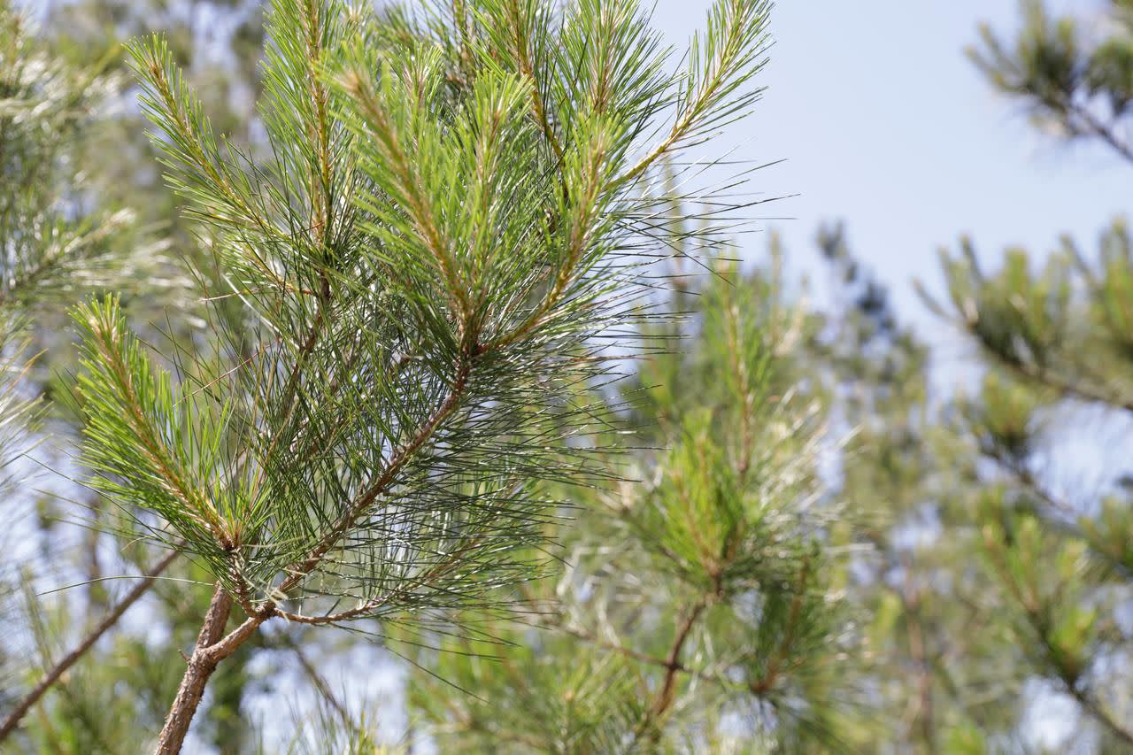 Proving sustainability delivers a measurable return on investment - Image