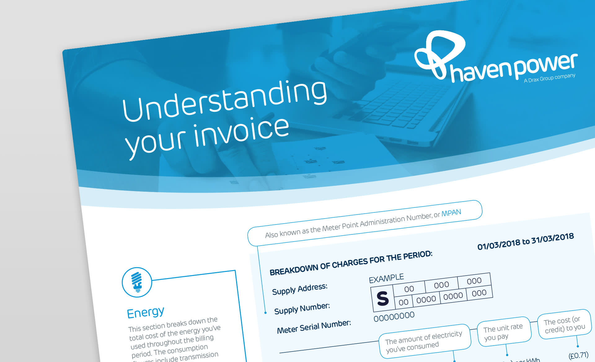 Flex invoice explained - web preview
