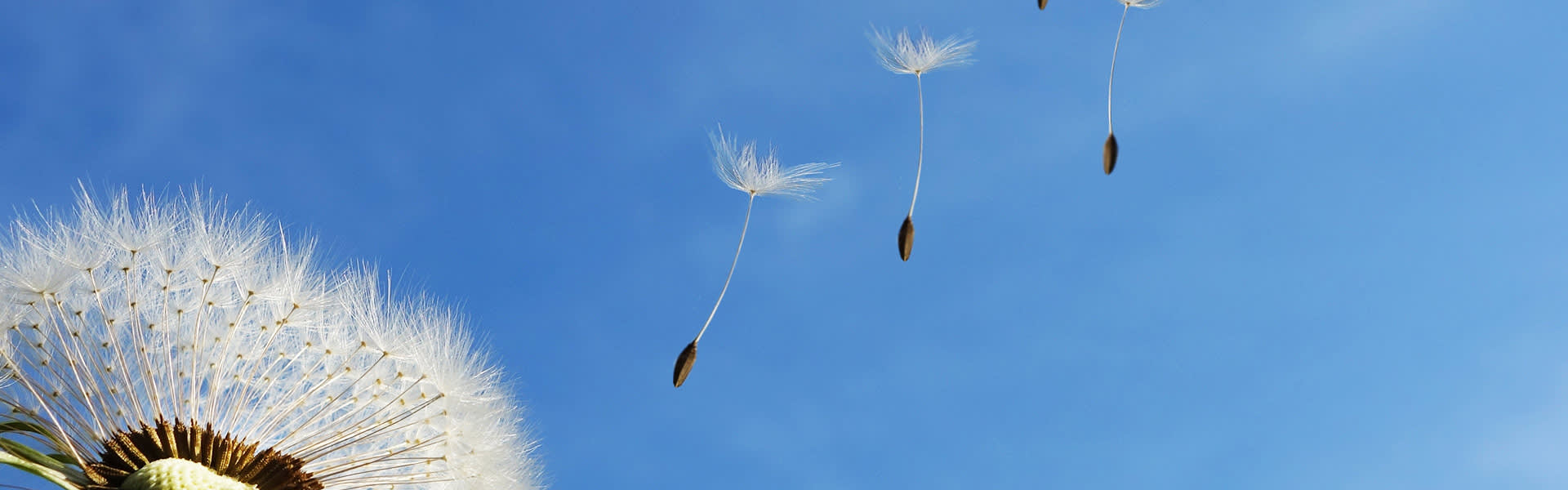 Week 27 UK wind output reaches 3-month high