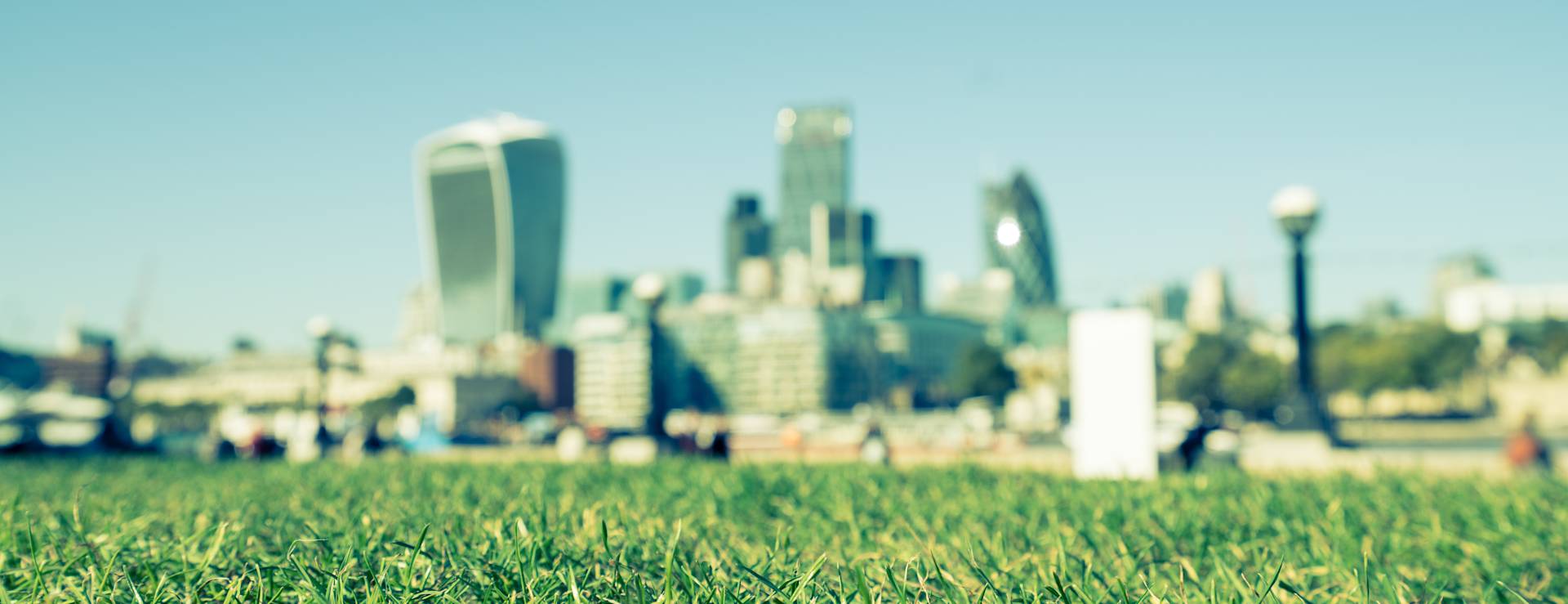 Infographic: Why business leaders are more environmentally conscious after the pandemic