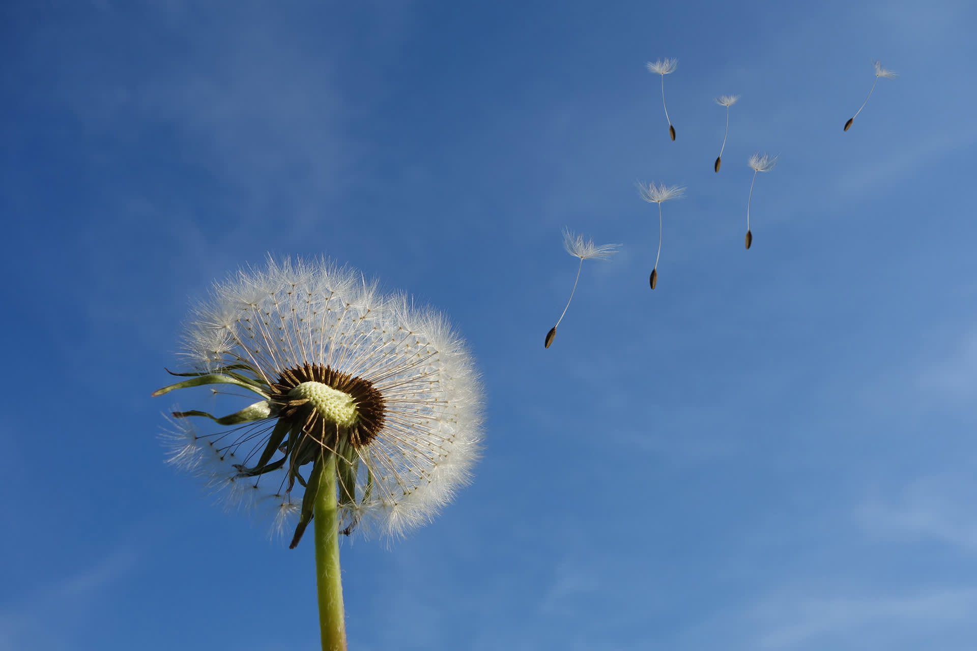 How to gain competitive advantage while achieving net zero carbon emissions - Image