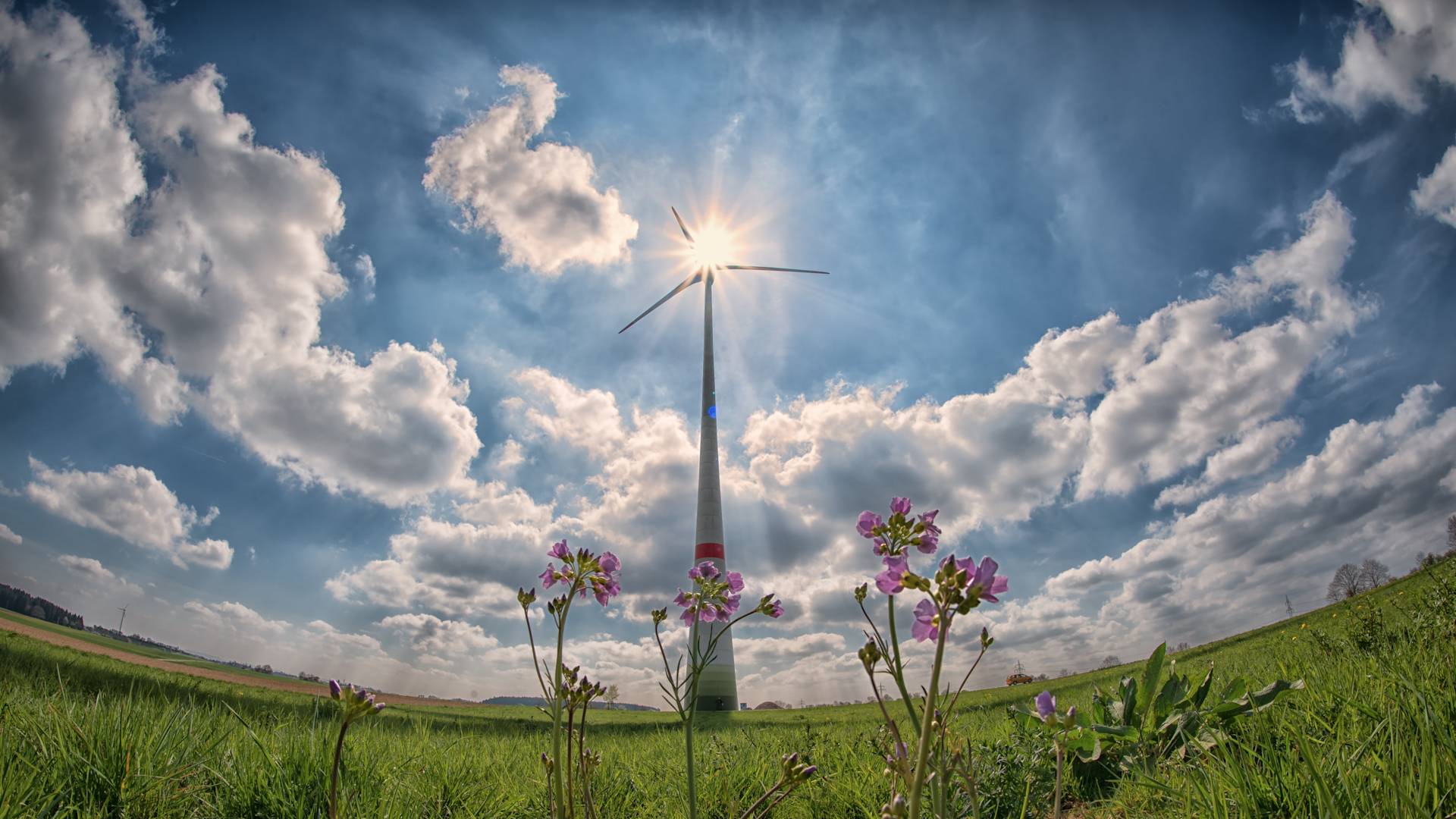 agriculture-alternative-alternative-energy-414886