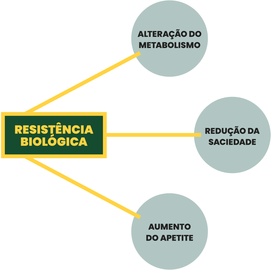 Esquema que identifica os fatores associados à resistência biológica - nomeadamente: alteração do metabolismo, redução da saciedade e aumento do apetite