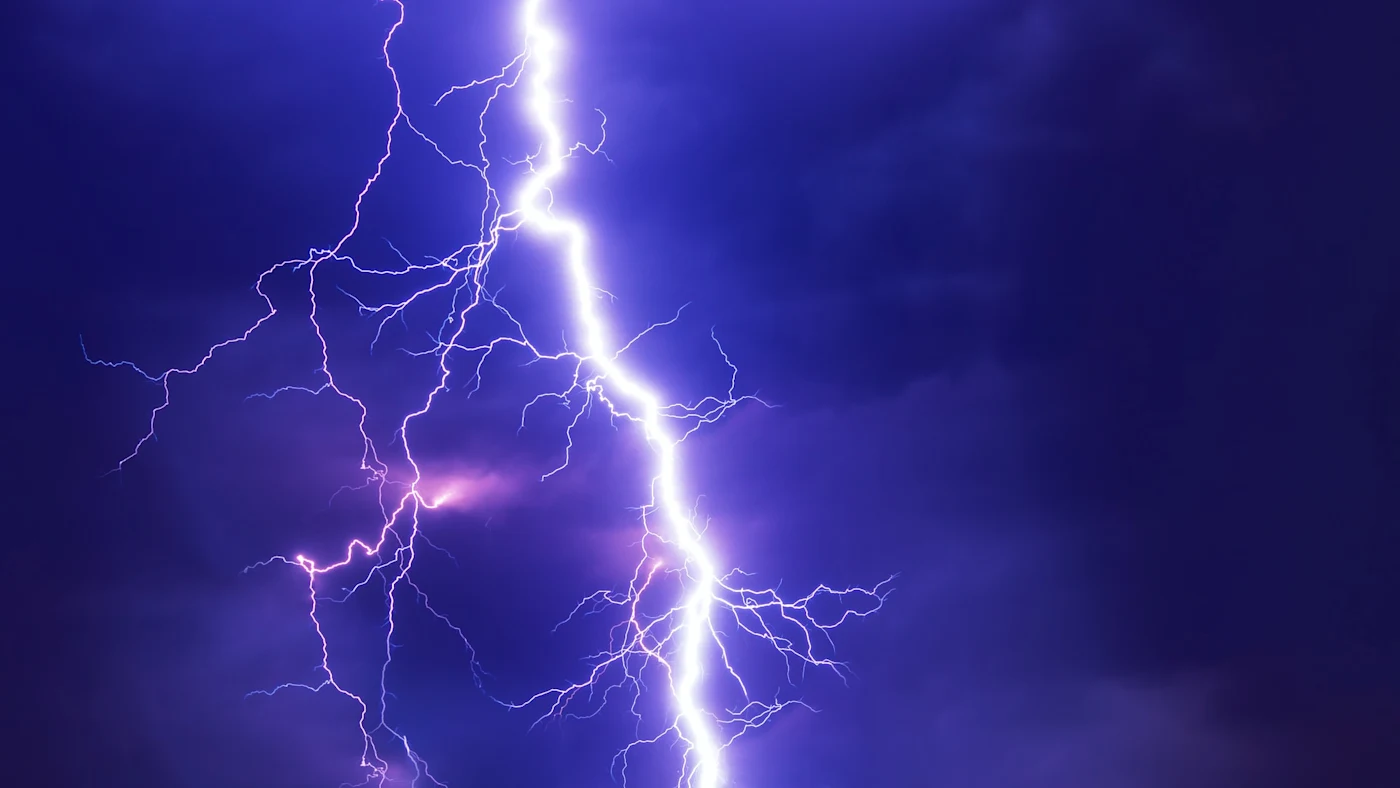 In this article, I'll show you what static and dynamic typing is, and their differences.