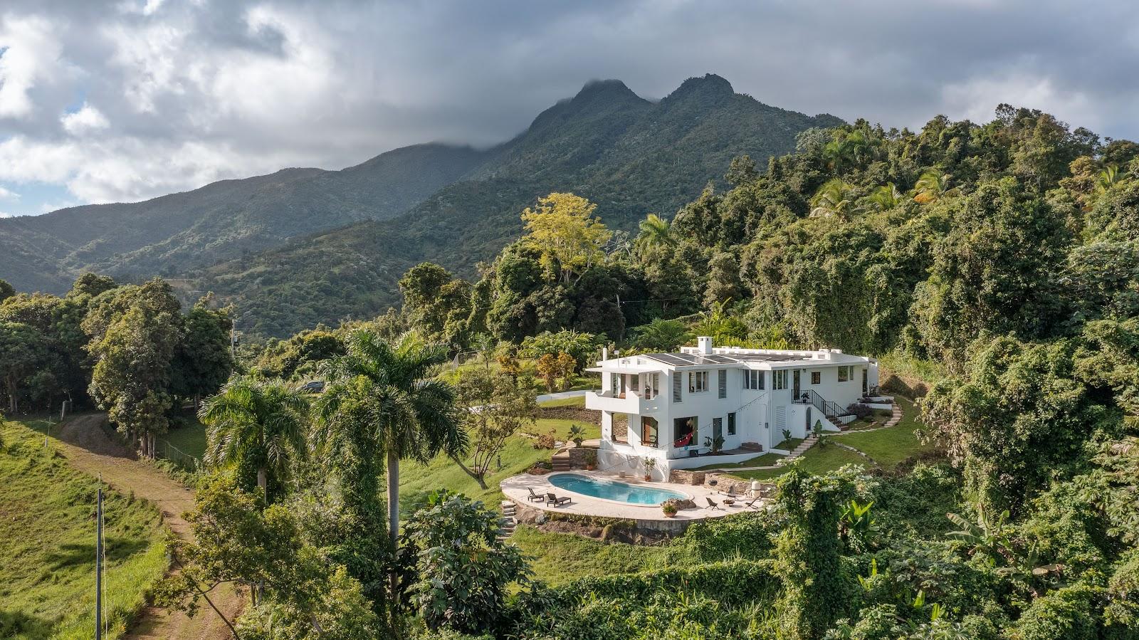 Wald Haus by DW seen from the air, the Dreamers Welcome rainforest house in Naguabo, with El Yunque's ridges behind it.
