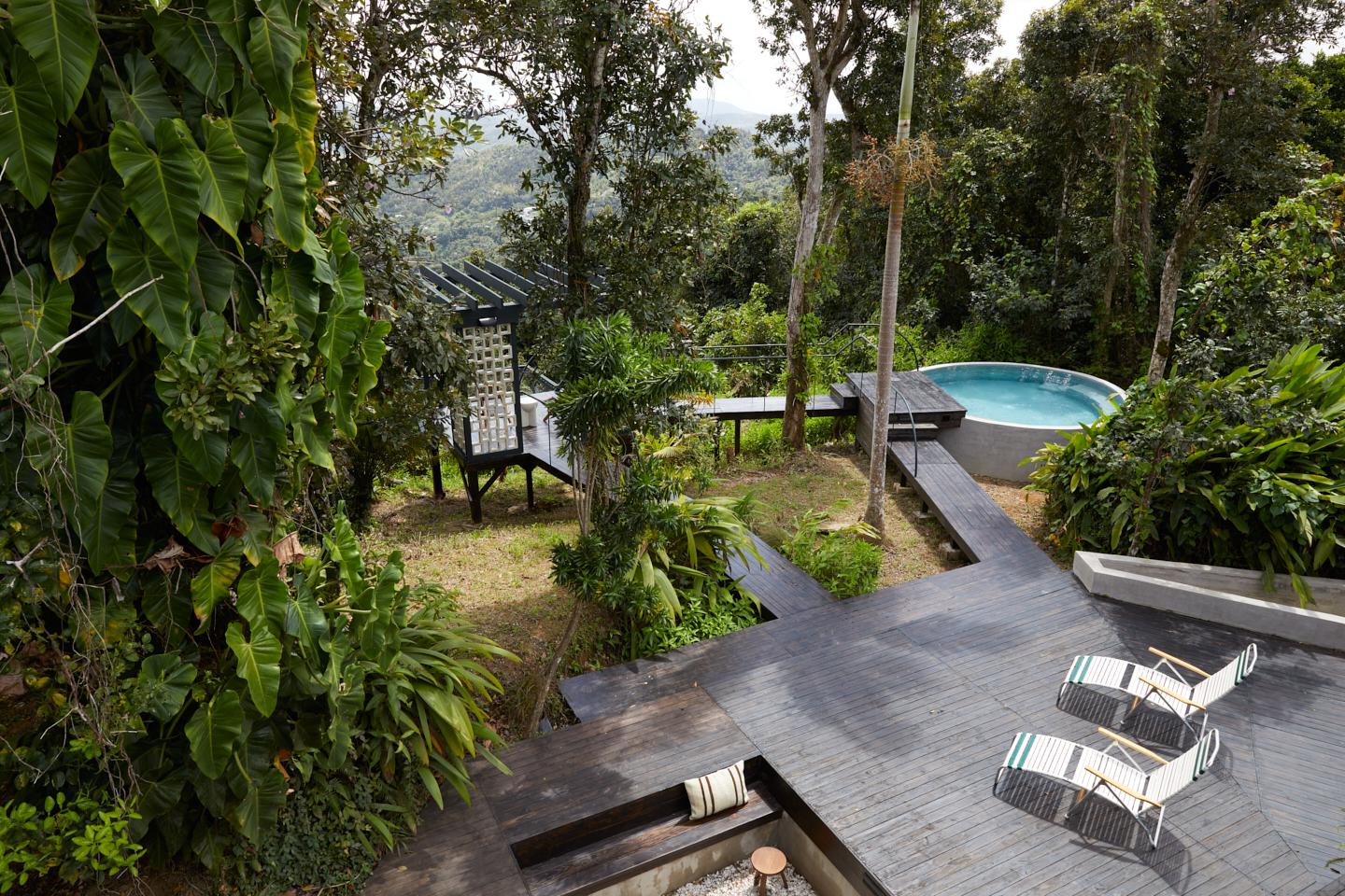 Selva by DW seen from above, the Dreamers Welcome rainforest house near Luquillo, with its saltwater pool and deck among the trees.