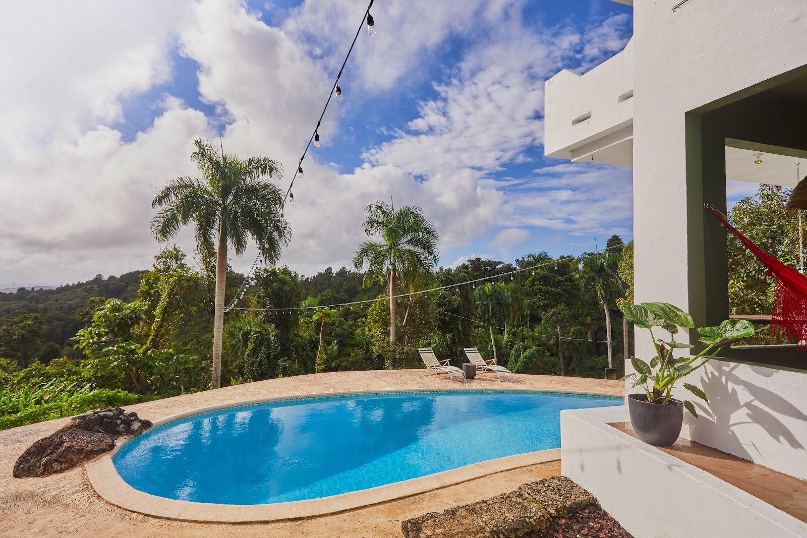The pool at Wald Haus by DW, the Dreamers Welcome house in Naguabo, with palms and rainforest behind.
